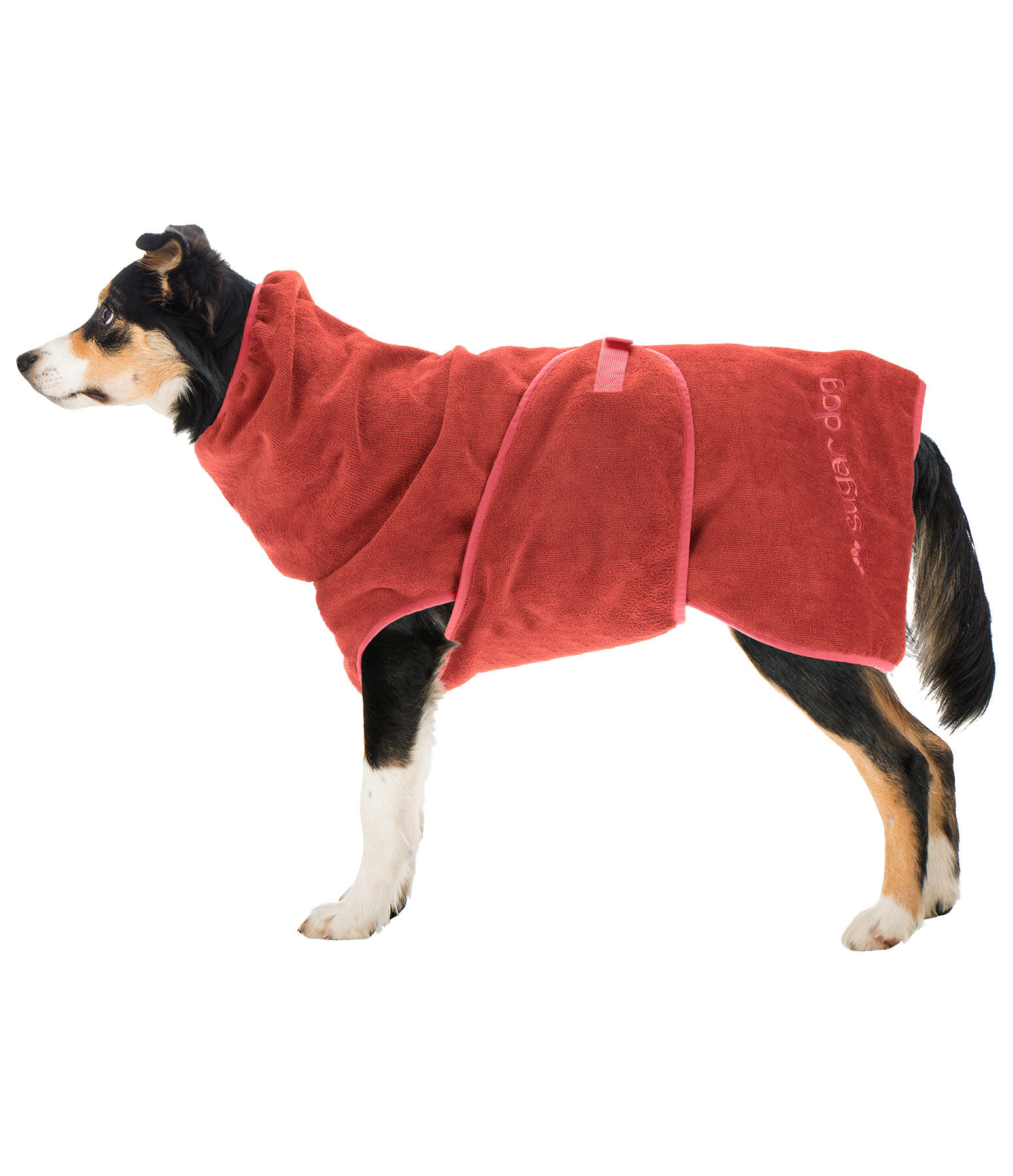 Hunde-Trocknungscape Dry Dog II