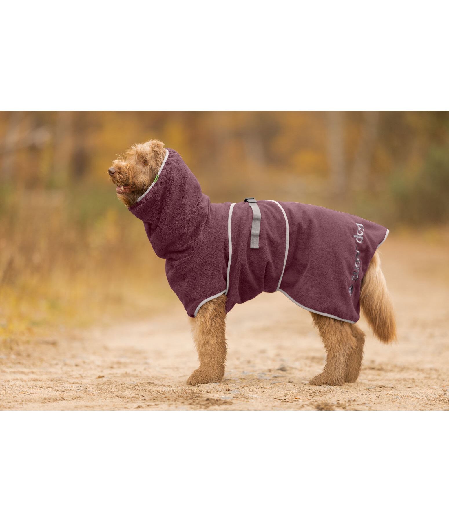 Hunde-Trocknungscape Dry Dog II