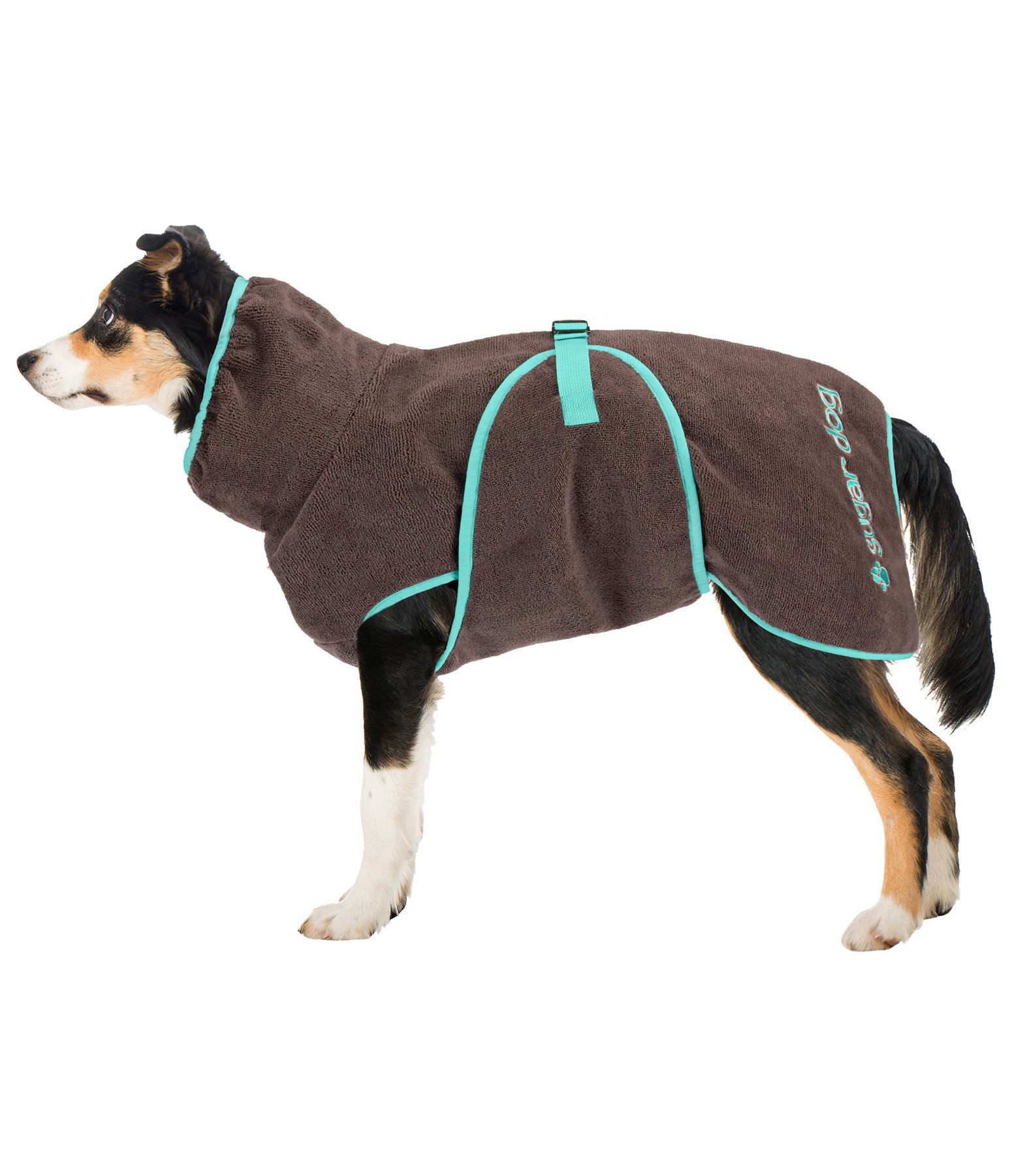 Trocknungscape Dry Dog II