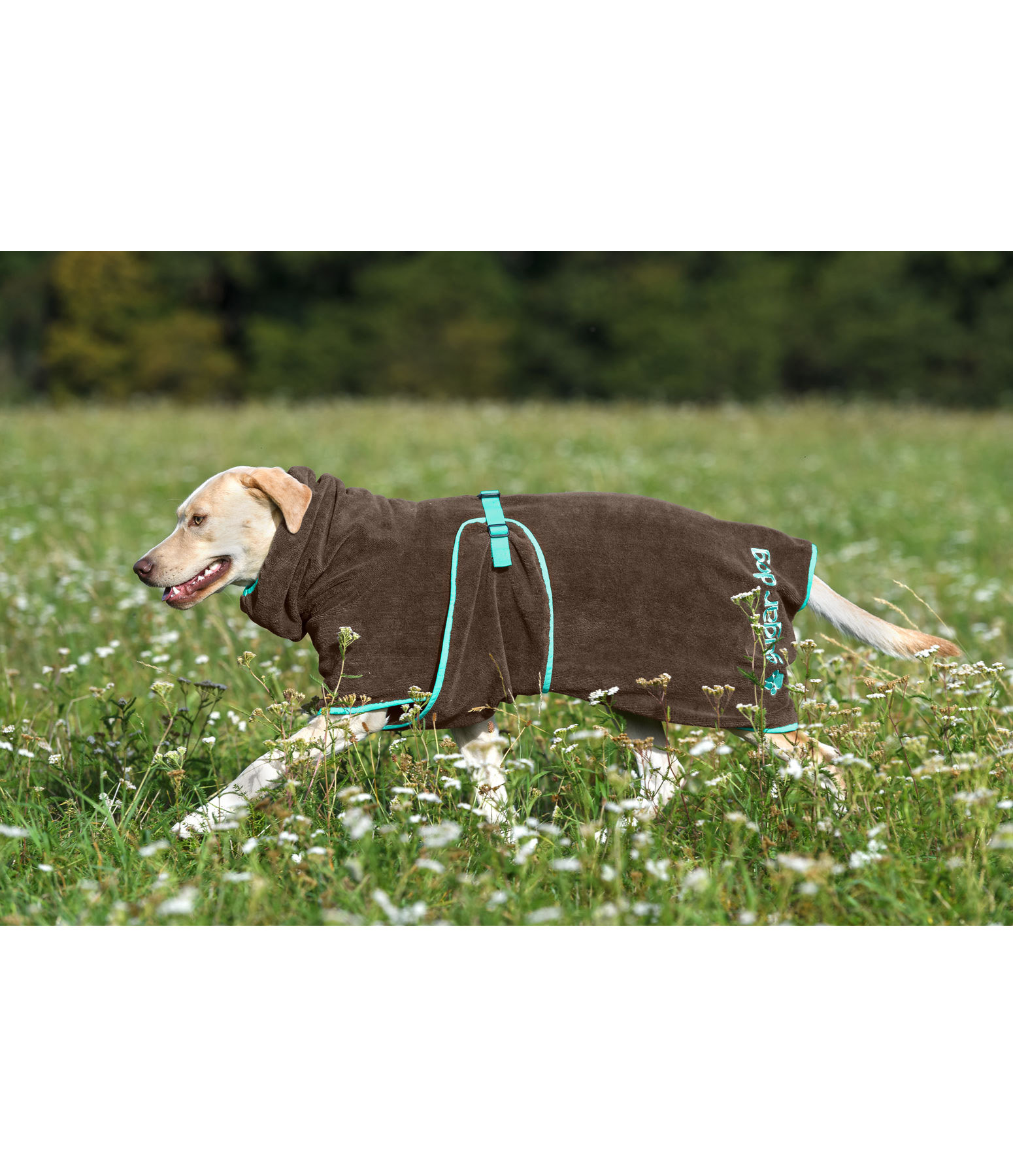 Trocknungscape Dry Dog II