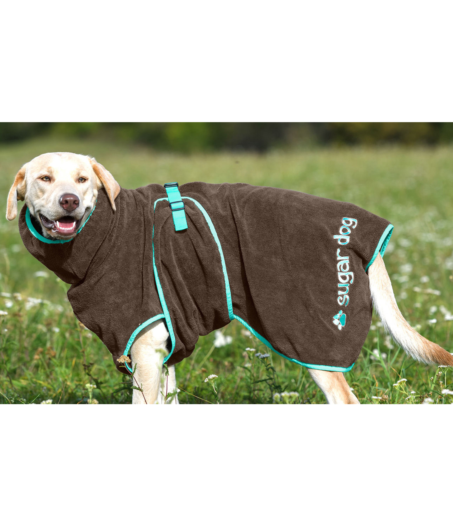 Trocknungscape Dry Dog II