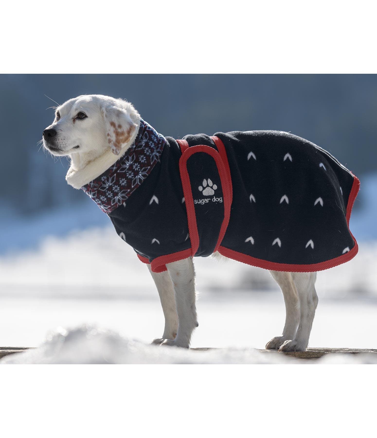 Fleece-Hundemantel Lovely Norway