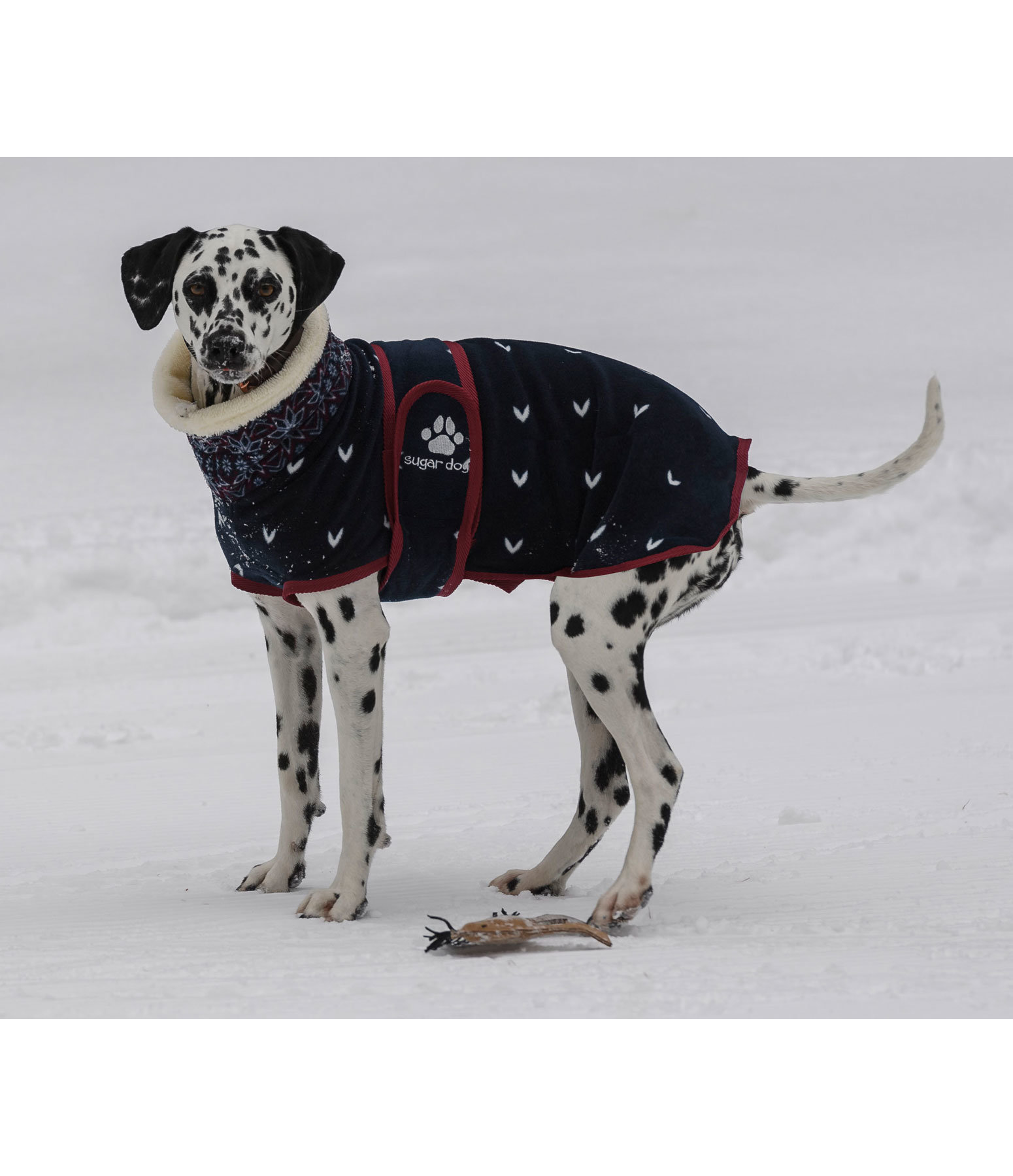 Fleece-Hundemantel Lovely Norway