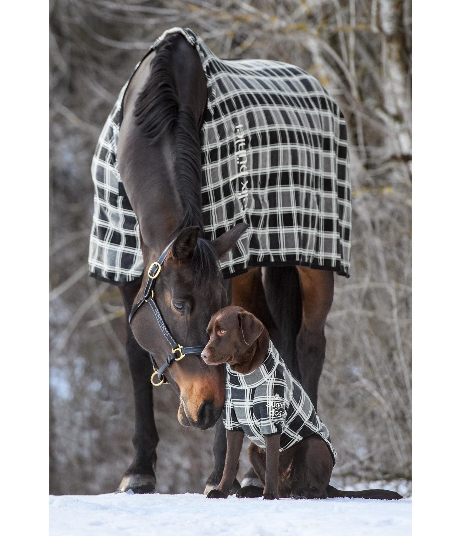 Hunde-Fleecejacke Jules