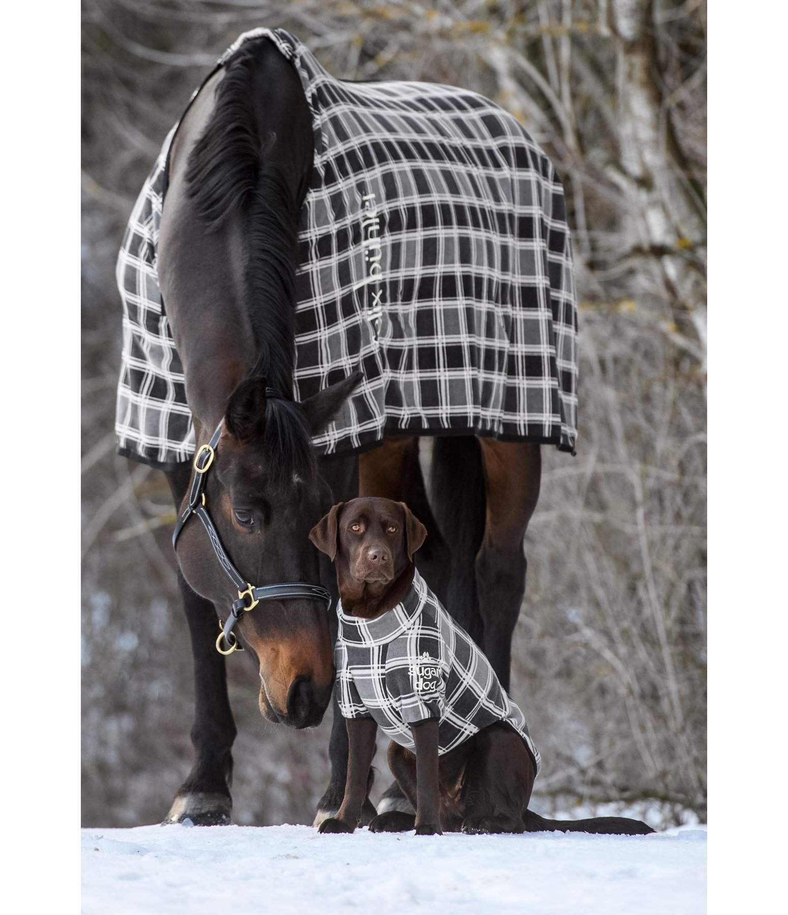 Hunde-Fleecejacke Jules