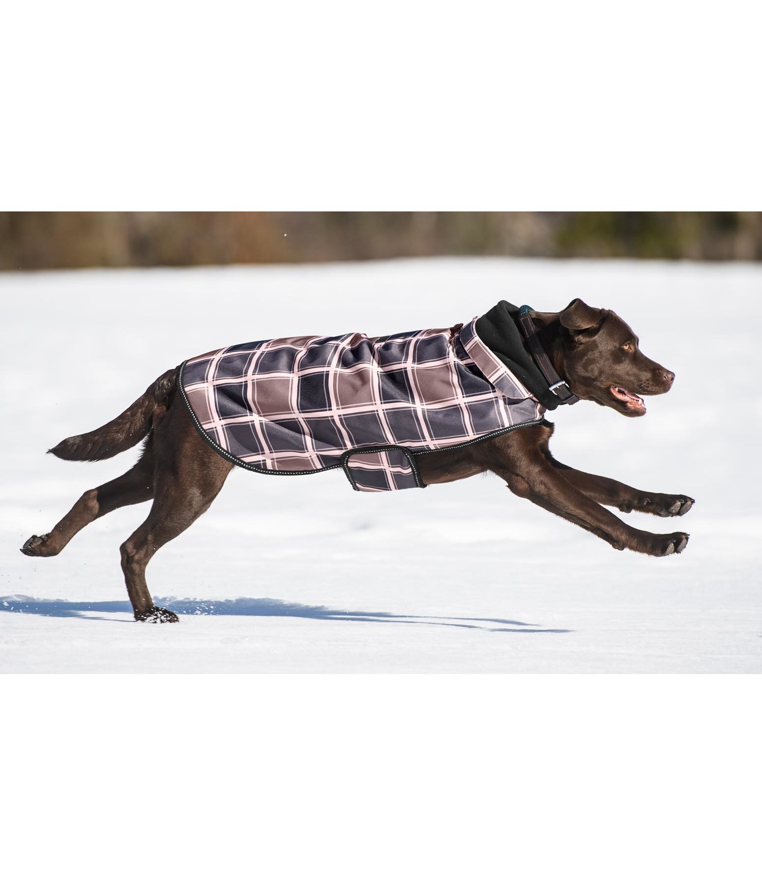 Hundemantel Ambra, 60 g