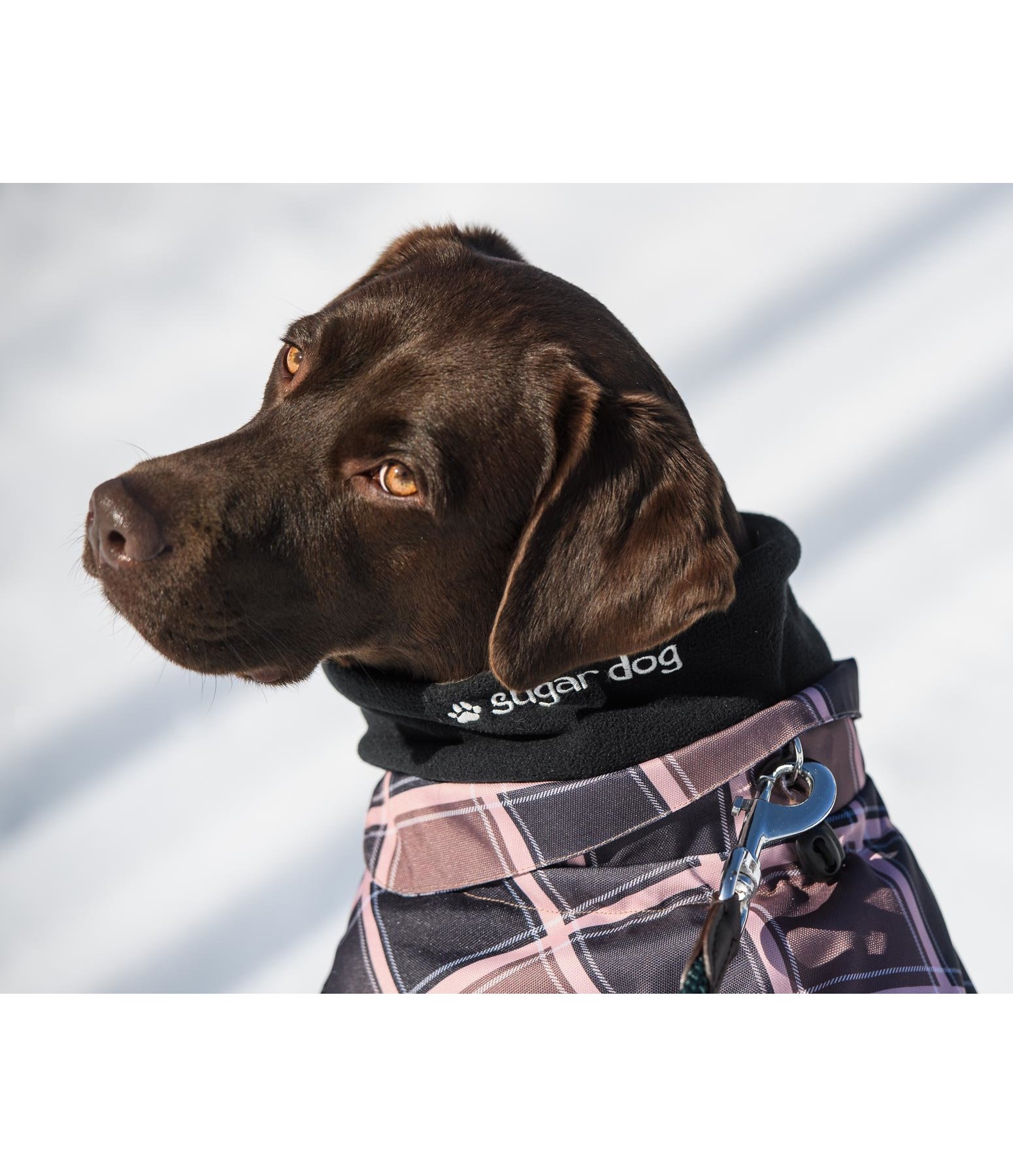 Hundemantel Ambra, 60 g
