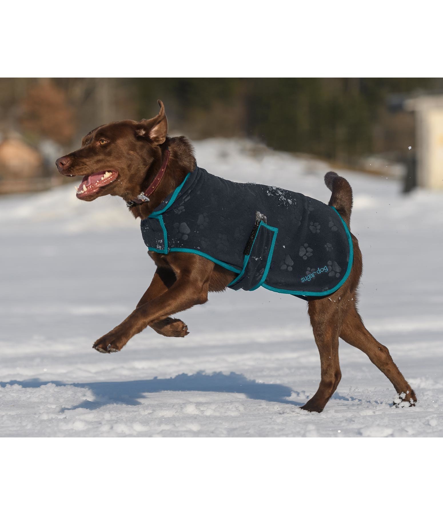 Hunde Fleecemantel Shelby