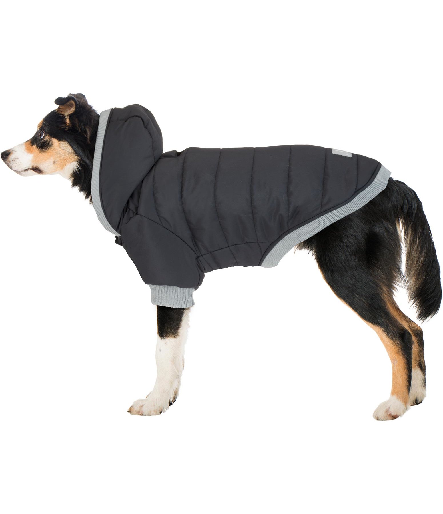 Hunde-Steppjacke Blair, 200 g