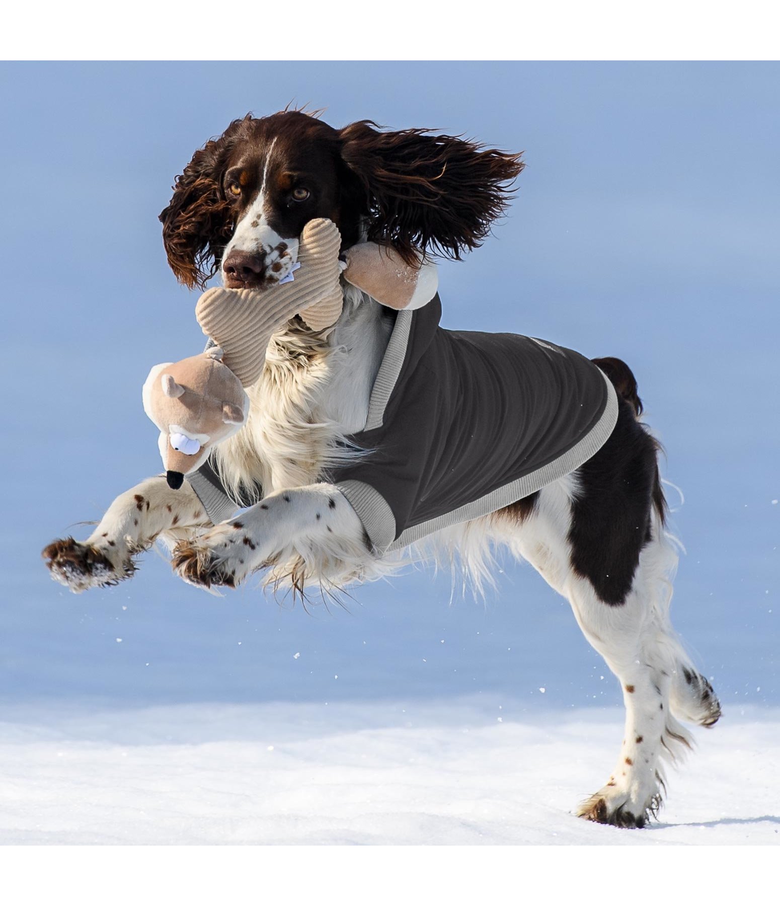 Hunde-Steppjacke Blair, 200 g