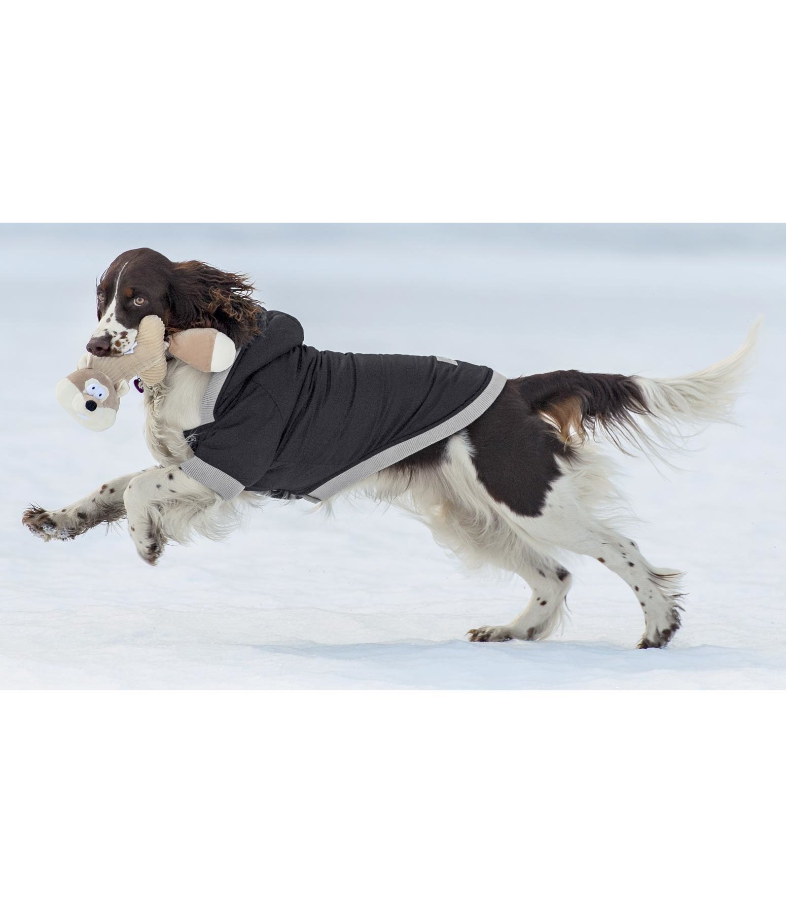 Hunde-Steppjacke Blair, 200 g