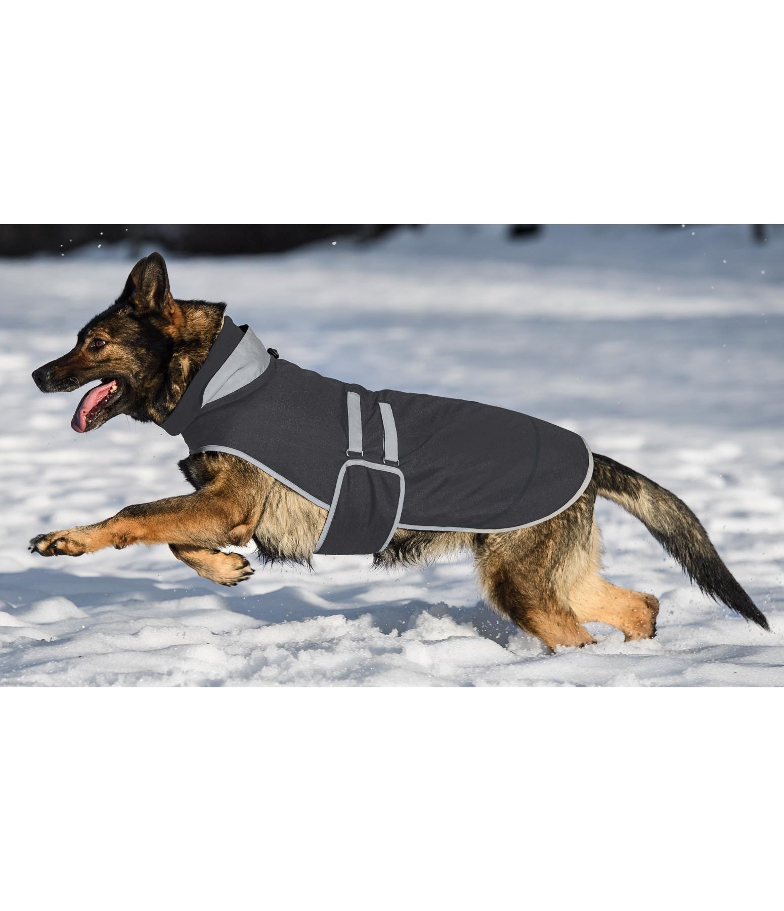 Hundejacke Joschi Reflective, 60 g