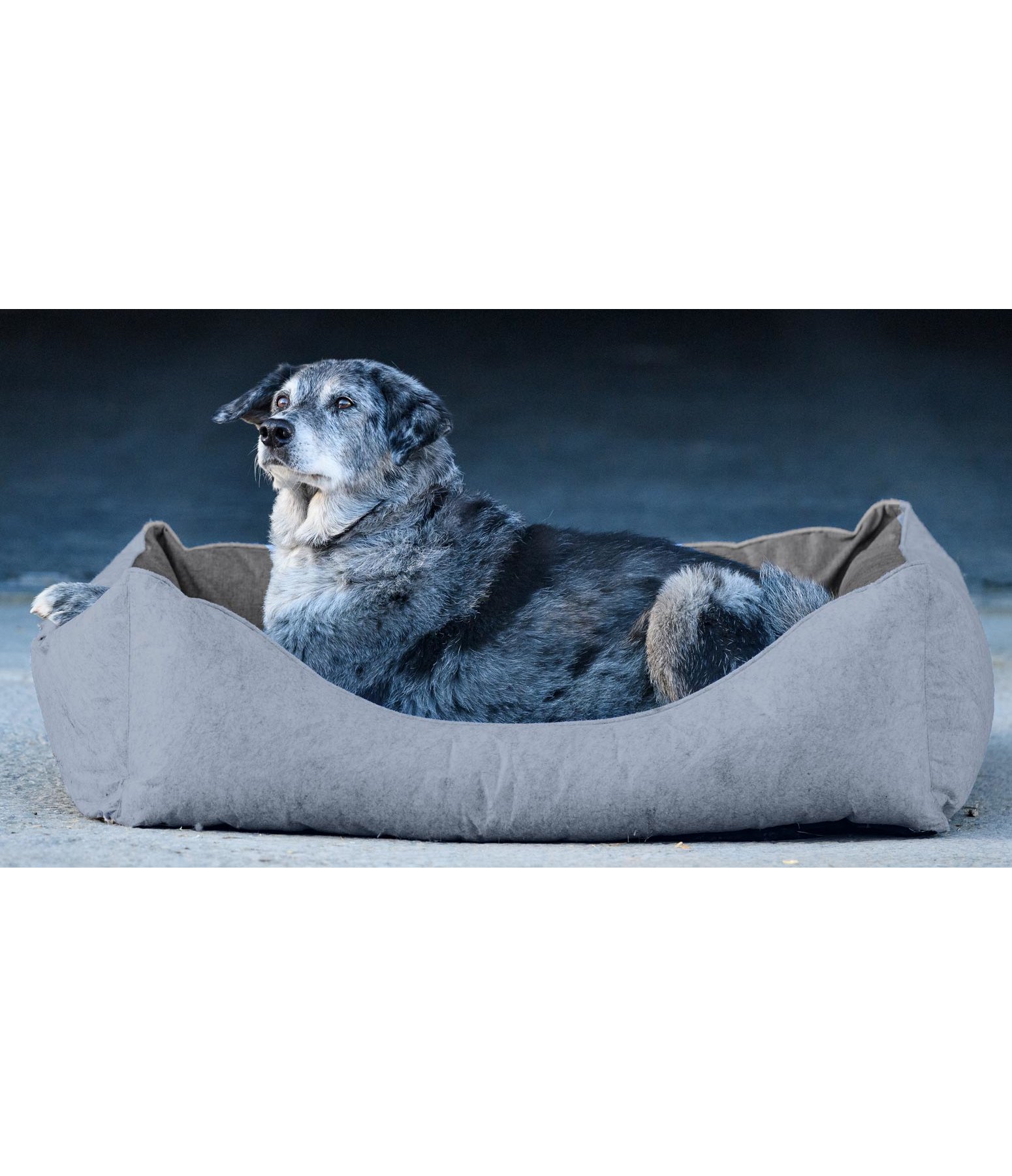 Filz-Hundebett Riley