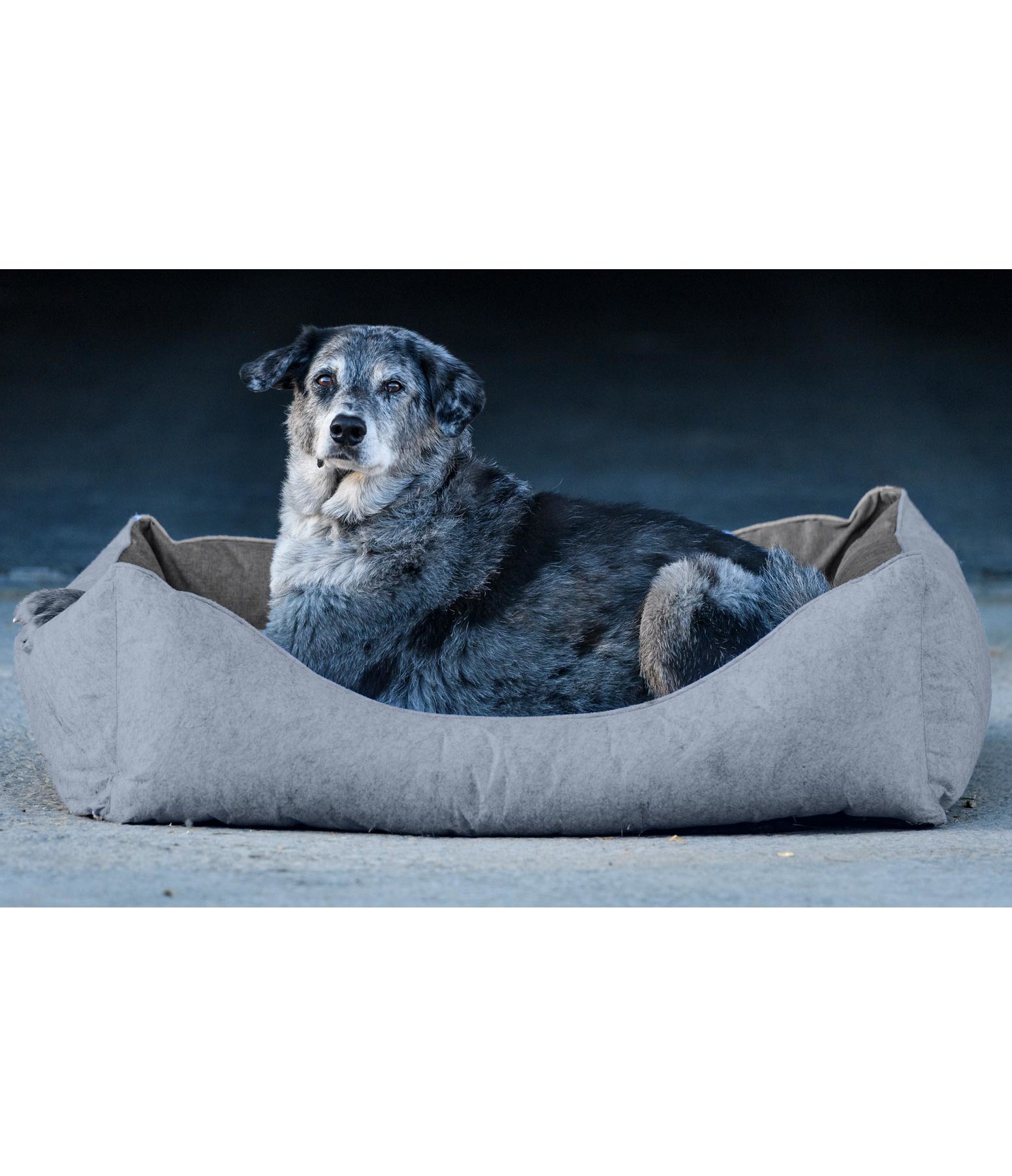 Filz-Hundebett Riley
