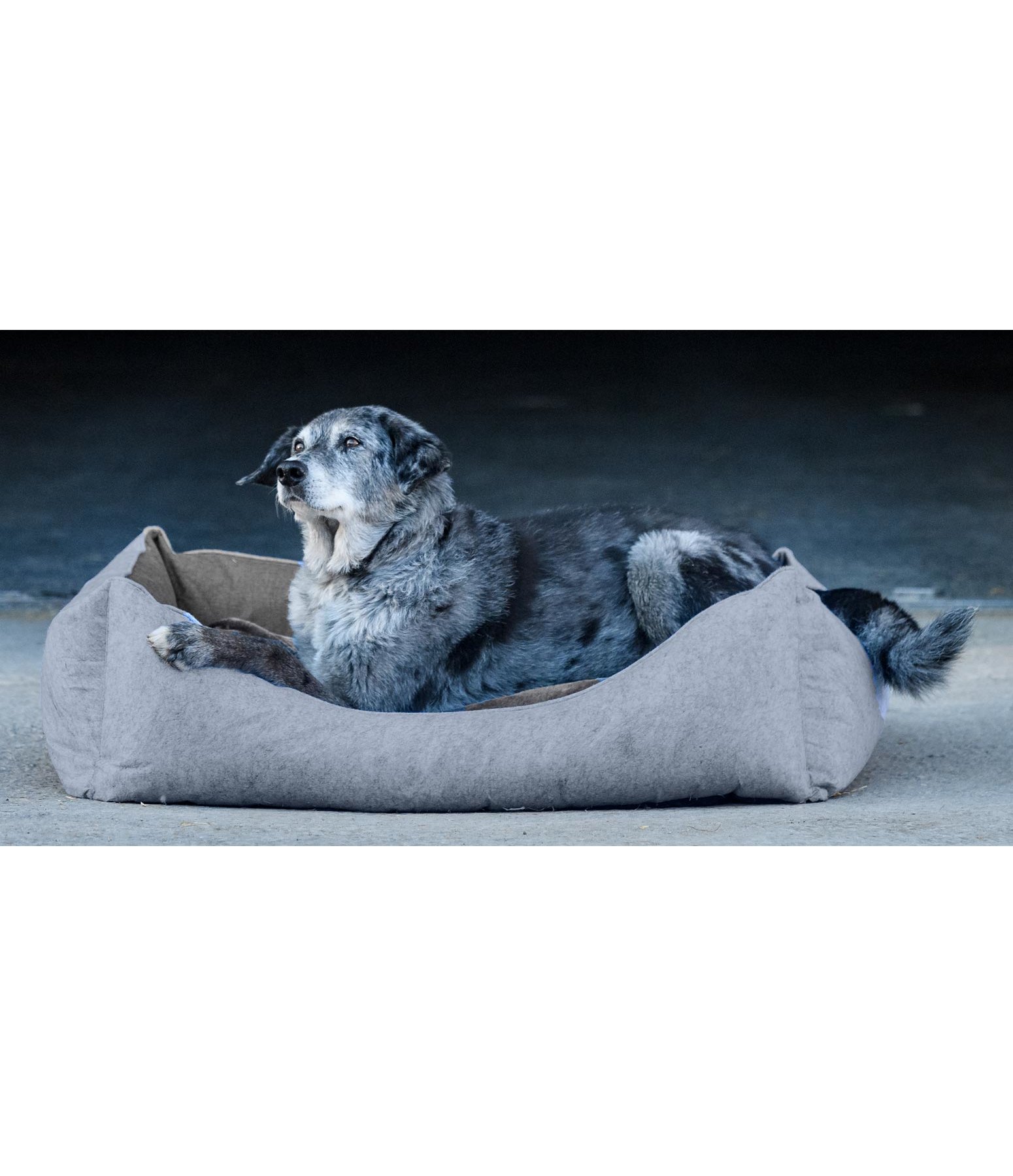 Filz-Hundebett Riley