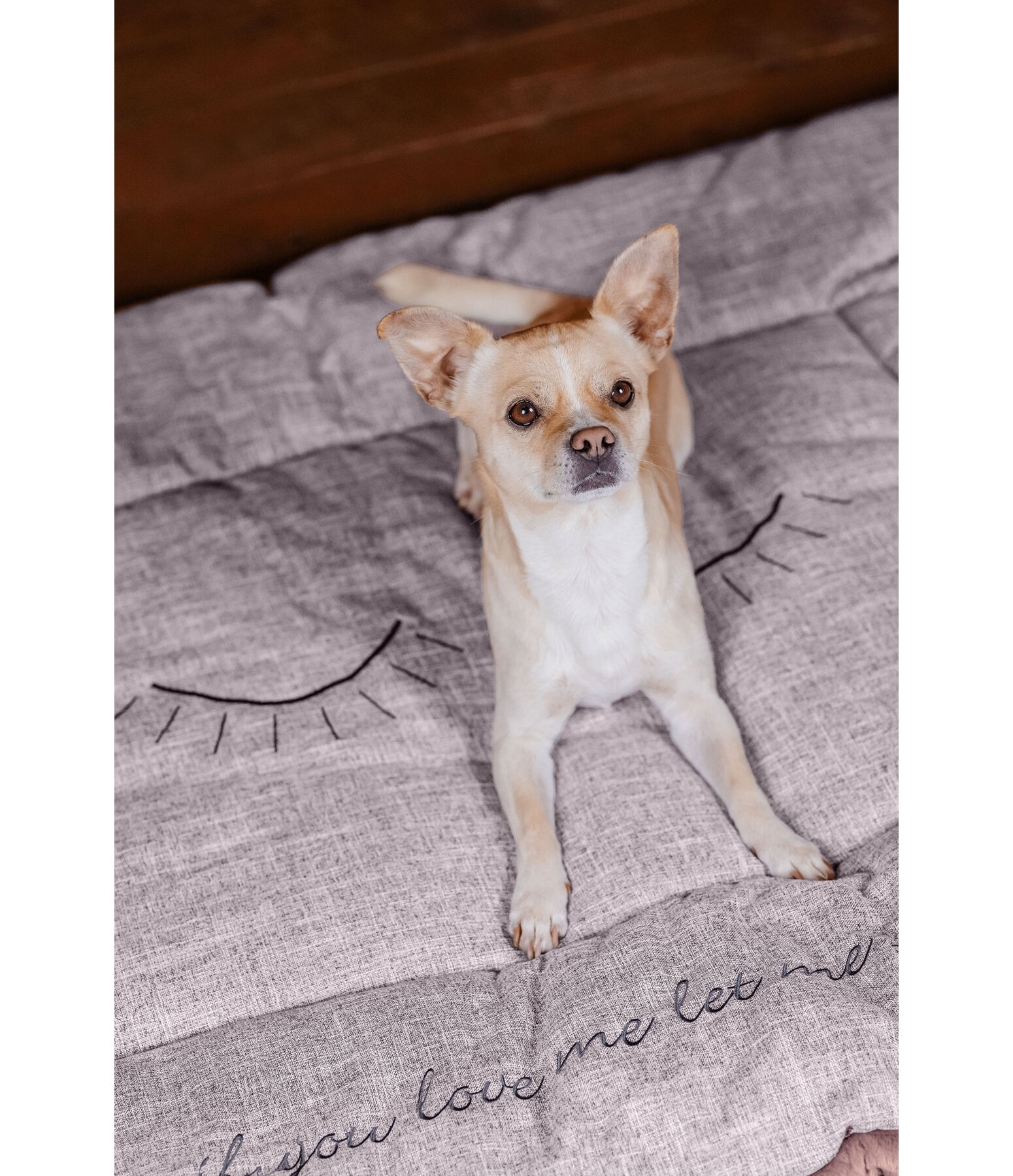 Hunde-Liegedecke Let Me Sleep