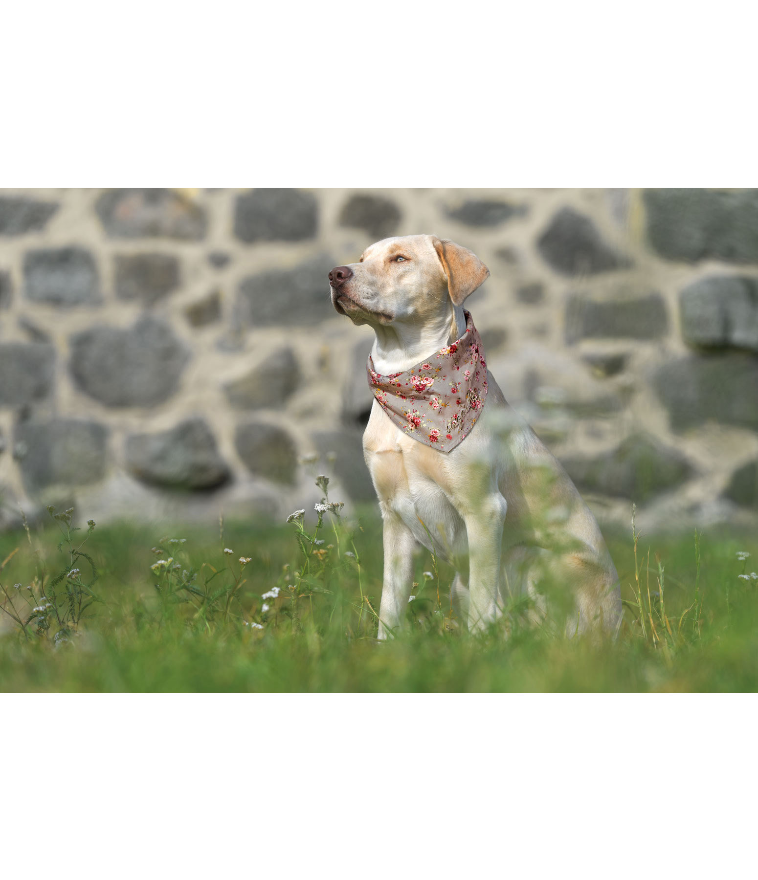 Halstuch Rosie