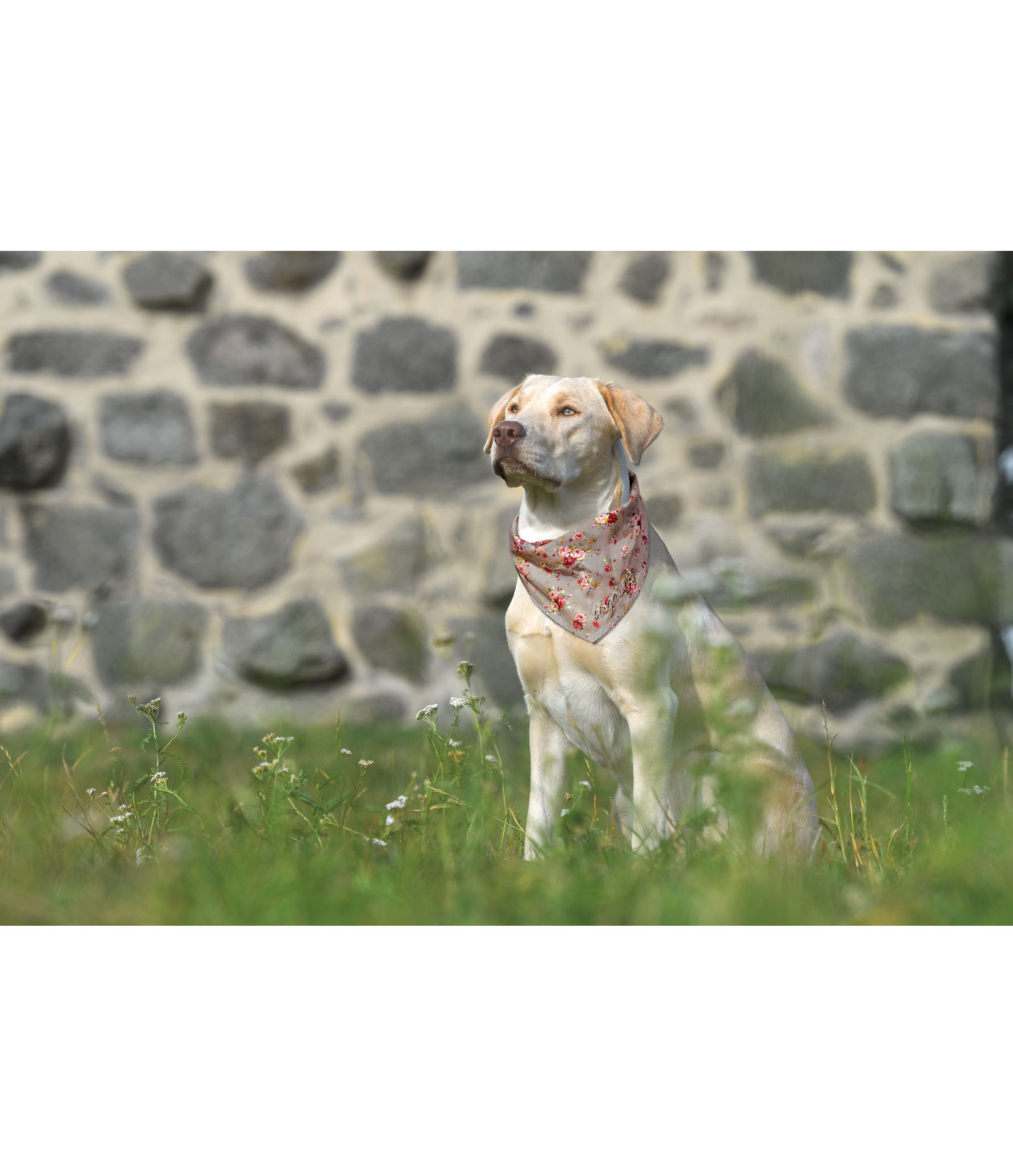 Halstuch Rosie