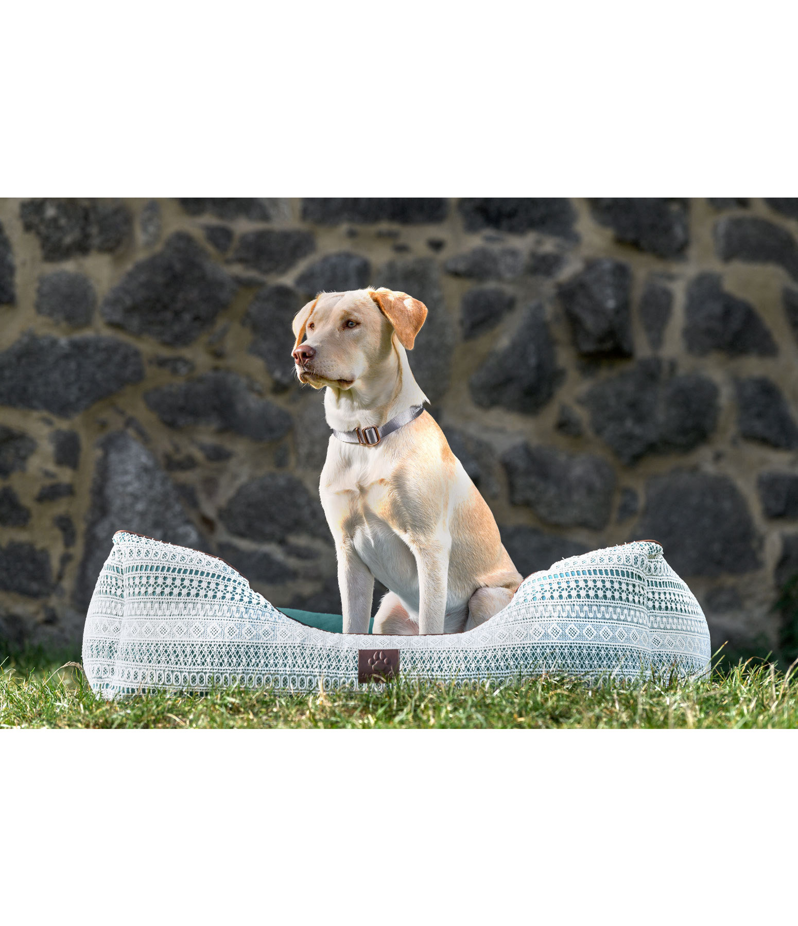 Canvas-Hundebett Boheme