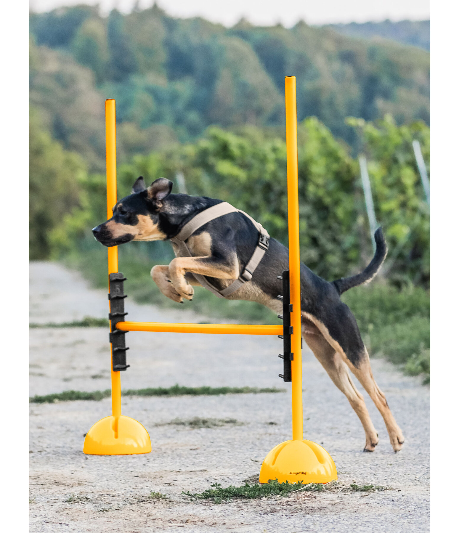 Agility Hundesport Clip für Reifen/Stange 