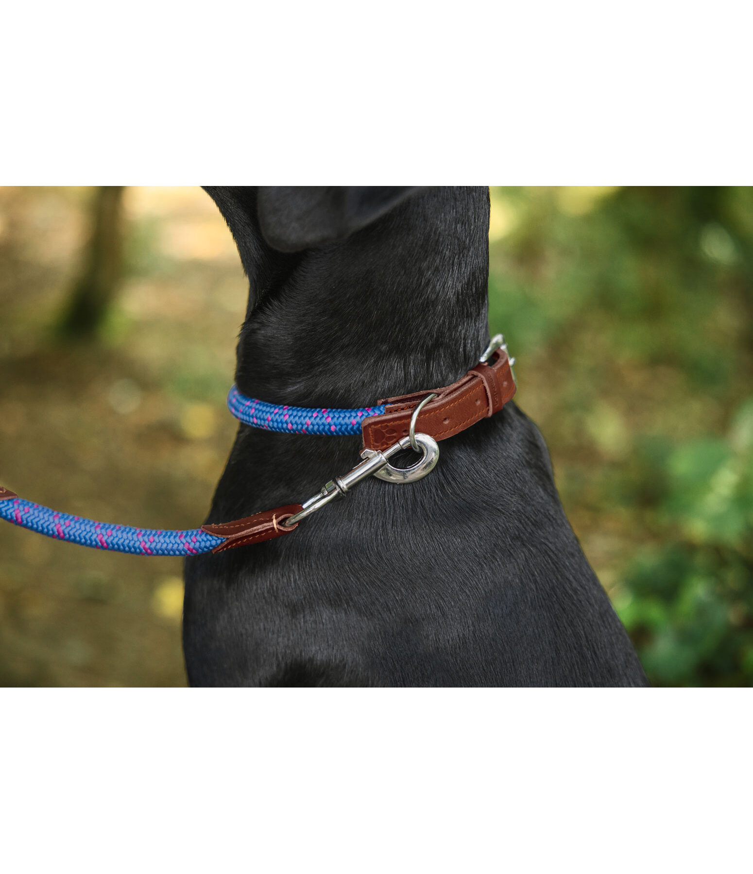 Hundehalsband Coloured Rope