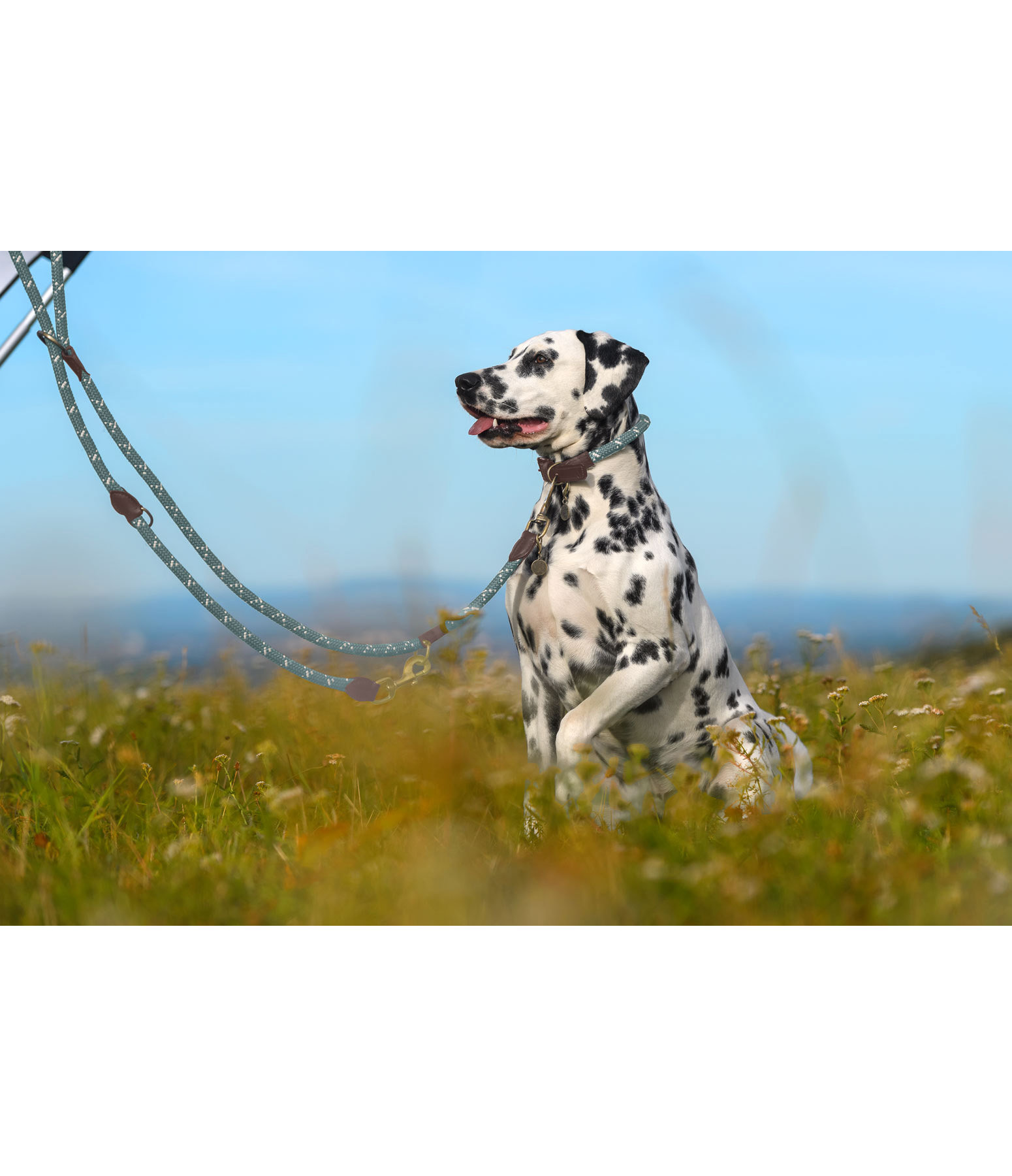 Hundehalsband Coloured Rope