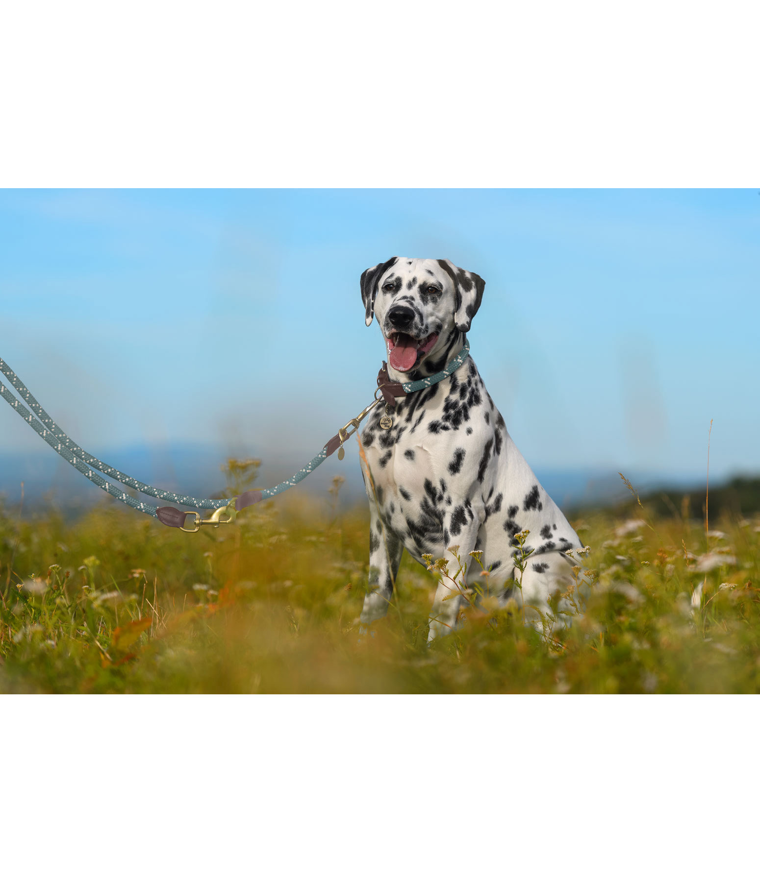 Hundehalsband Coloured Rope