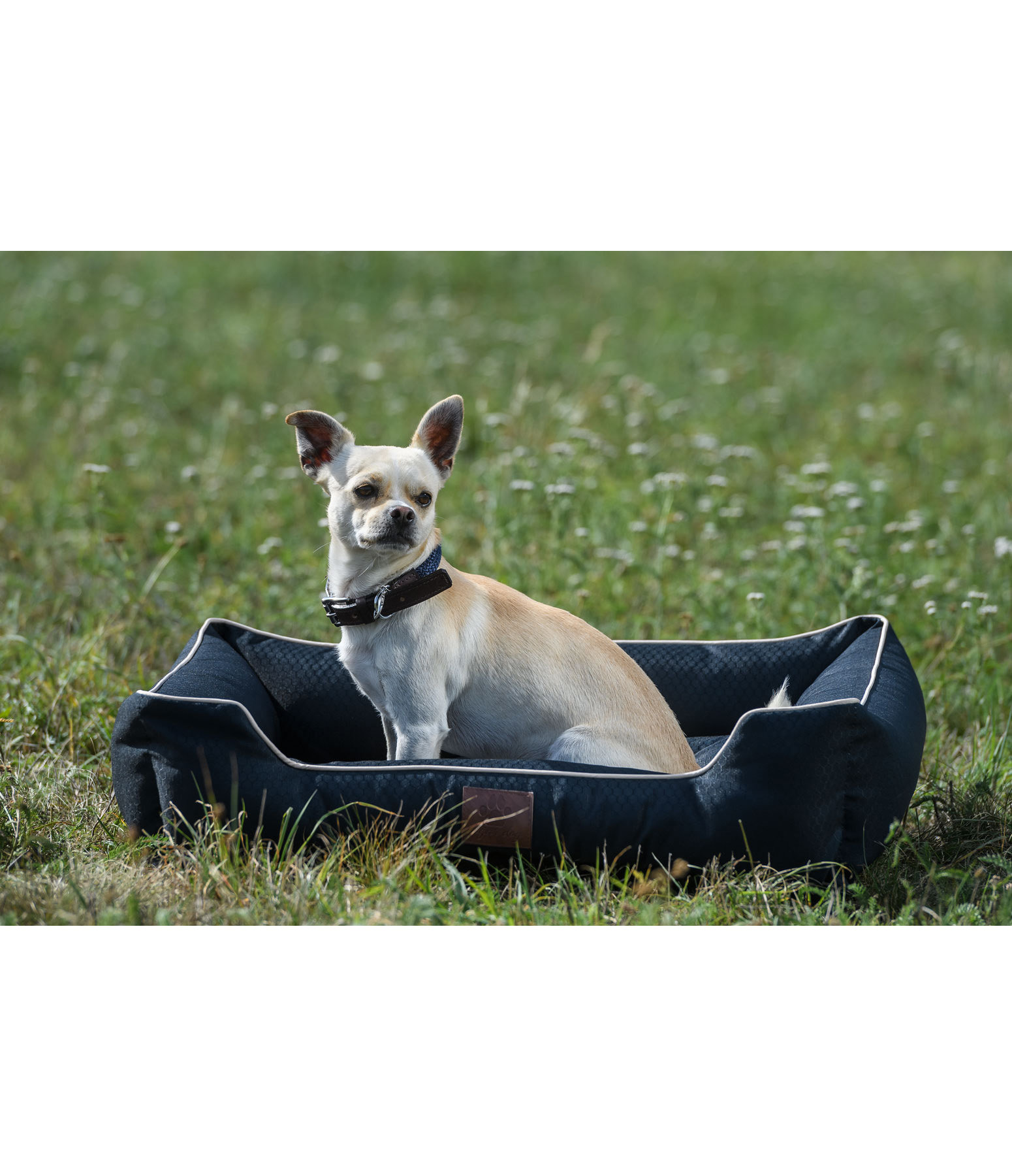 Outdoorlounger Luca