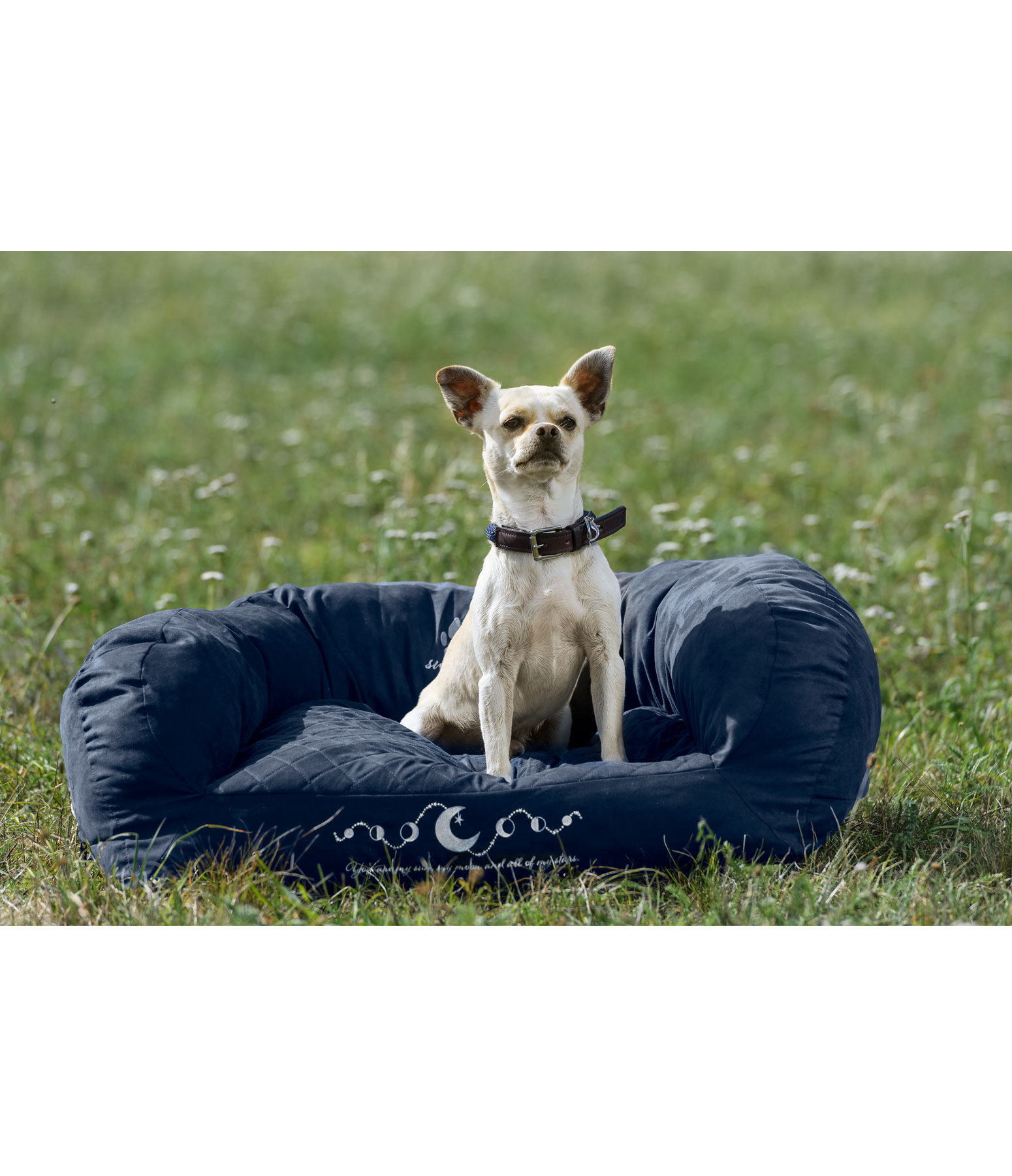 Hundecouch Moon Lover