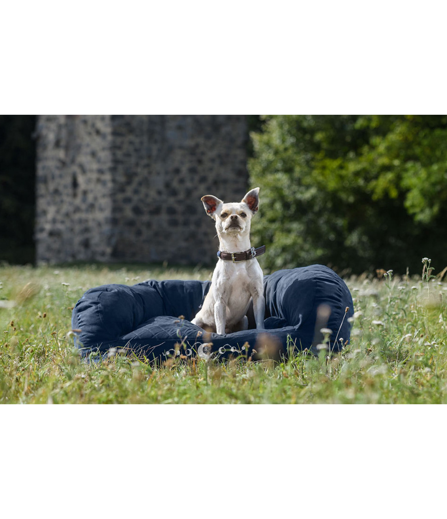 Hundecouch Moon Lover