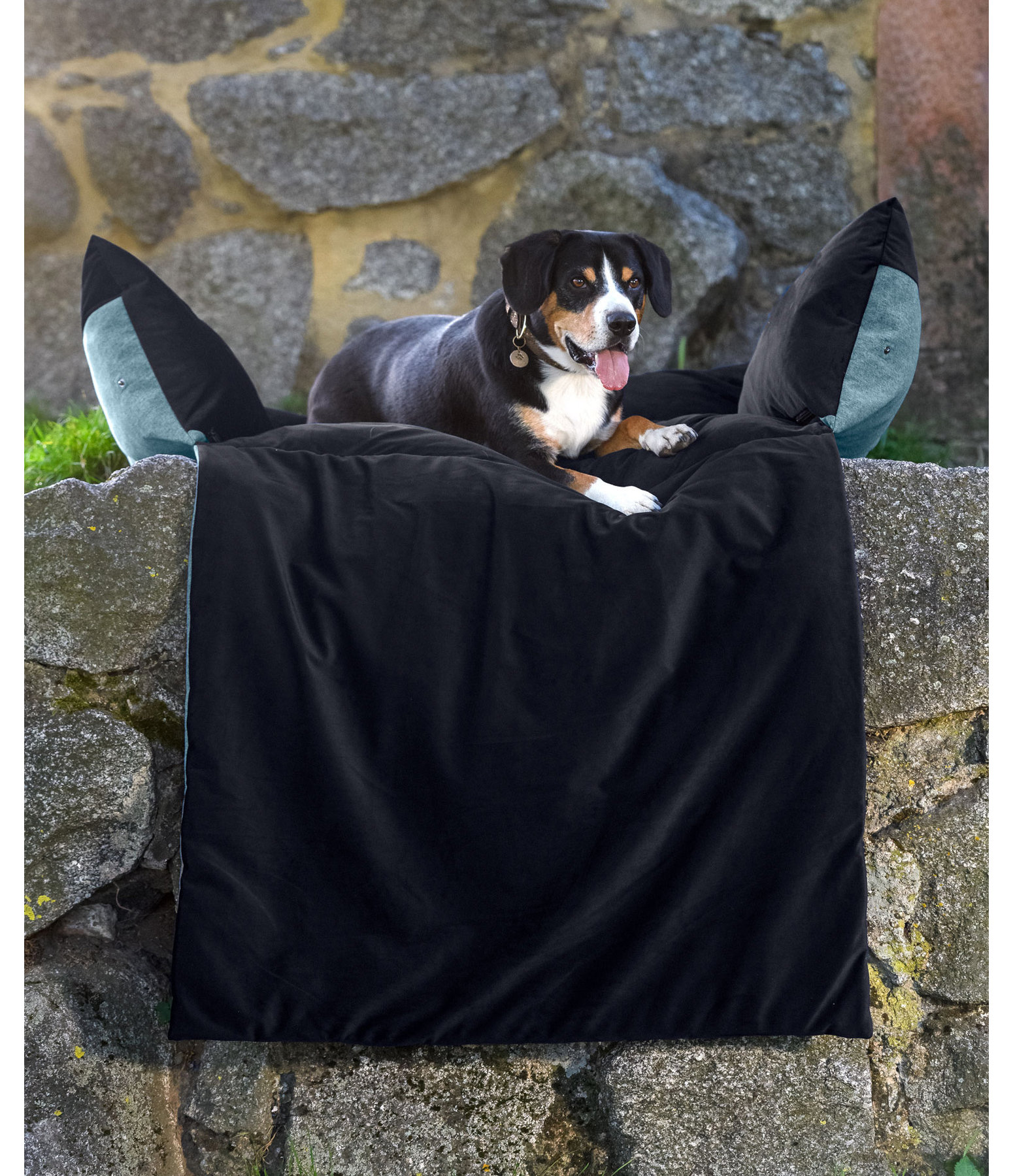 Ausklappbares Hundebett Pievel