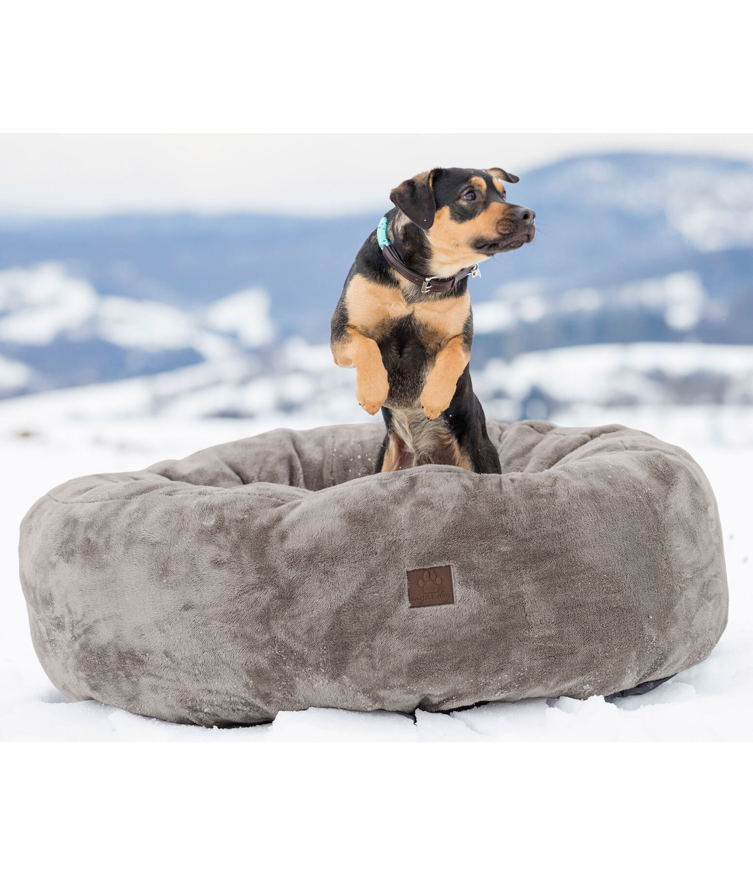 Teddyfleece-Hundebett Quimba