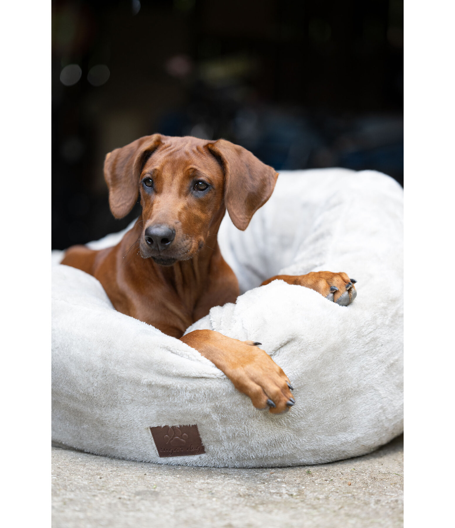 Teddyfleece-Hundebett Quimba