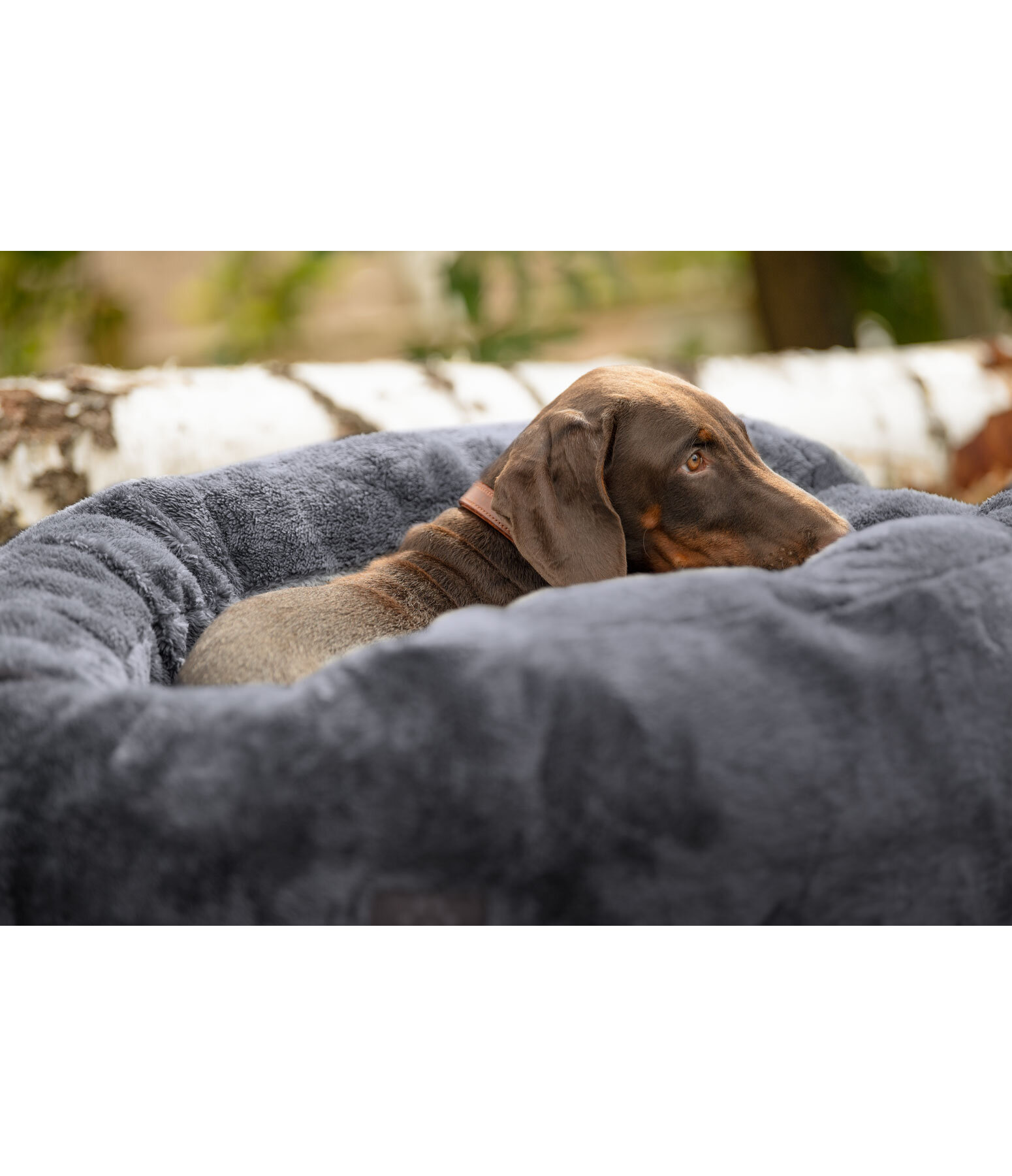 Teddyfleece Hundebett Quimba