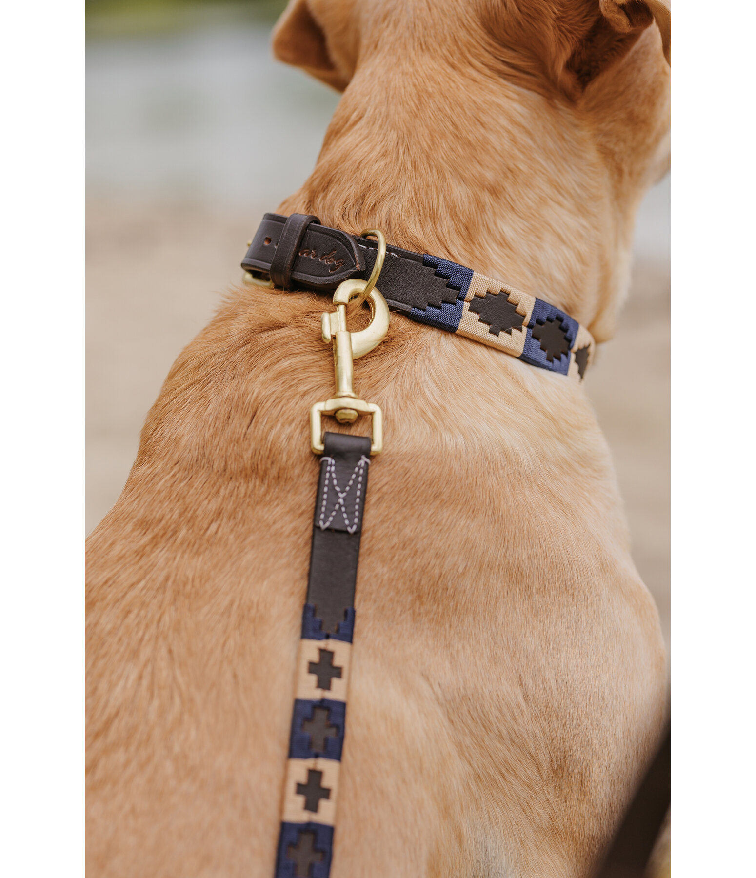 Set: Leder-Hundehalsband und -leine Polo Sports