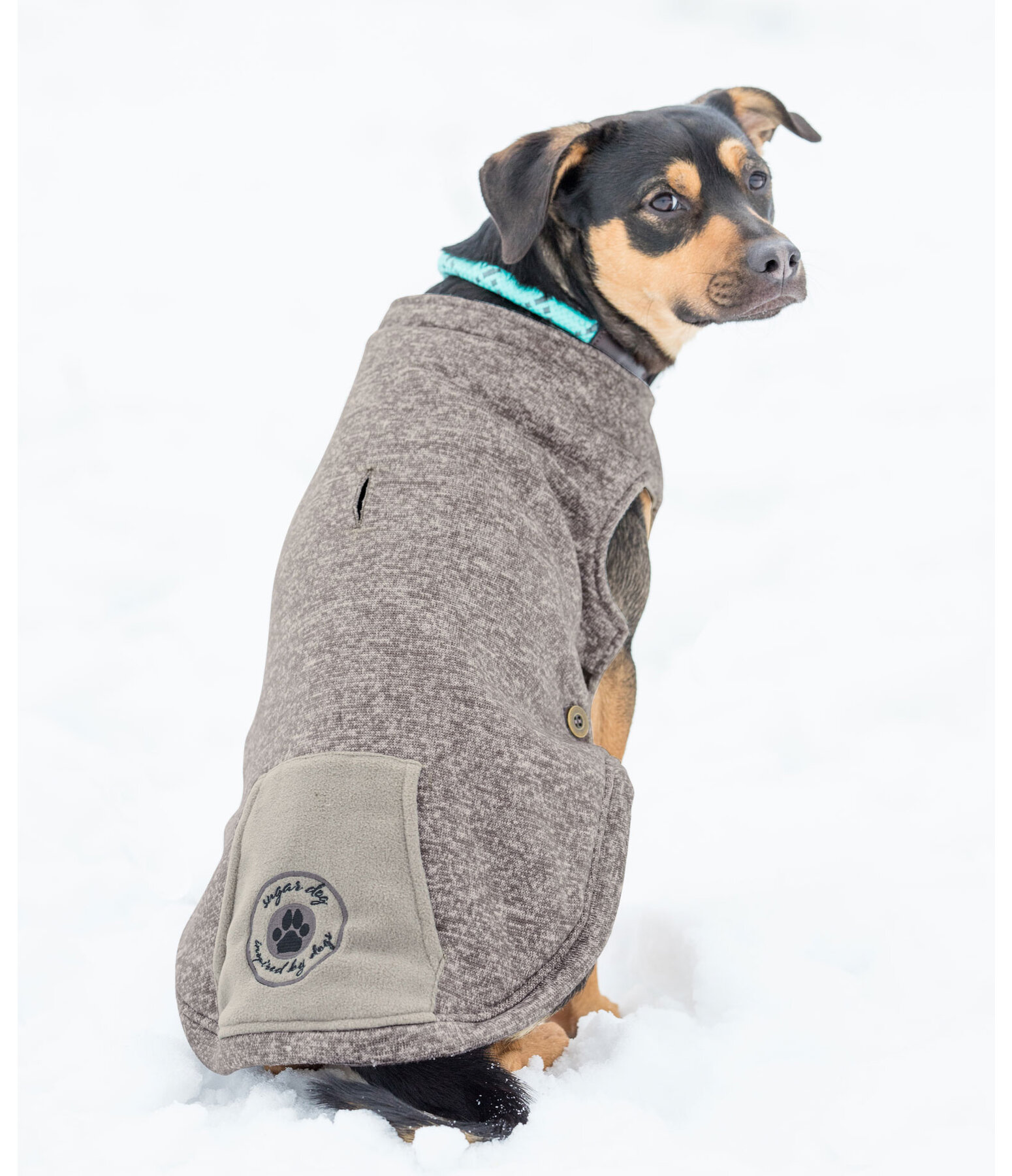 Hunde-Pullover Seb