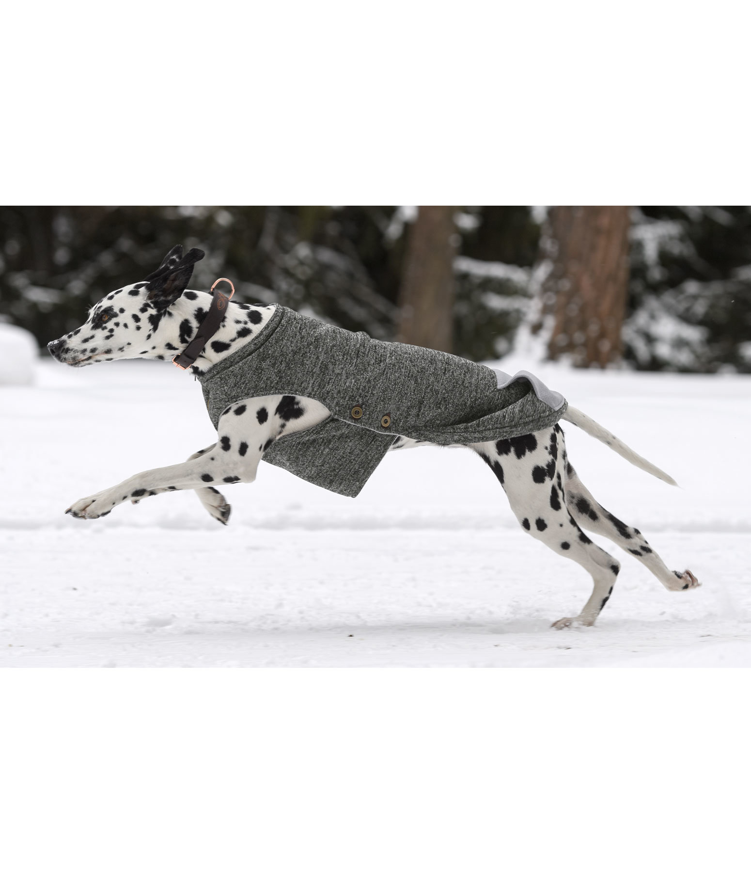 Hunde-Pullover Seb