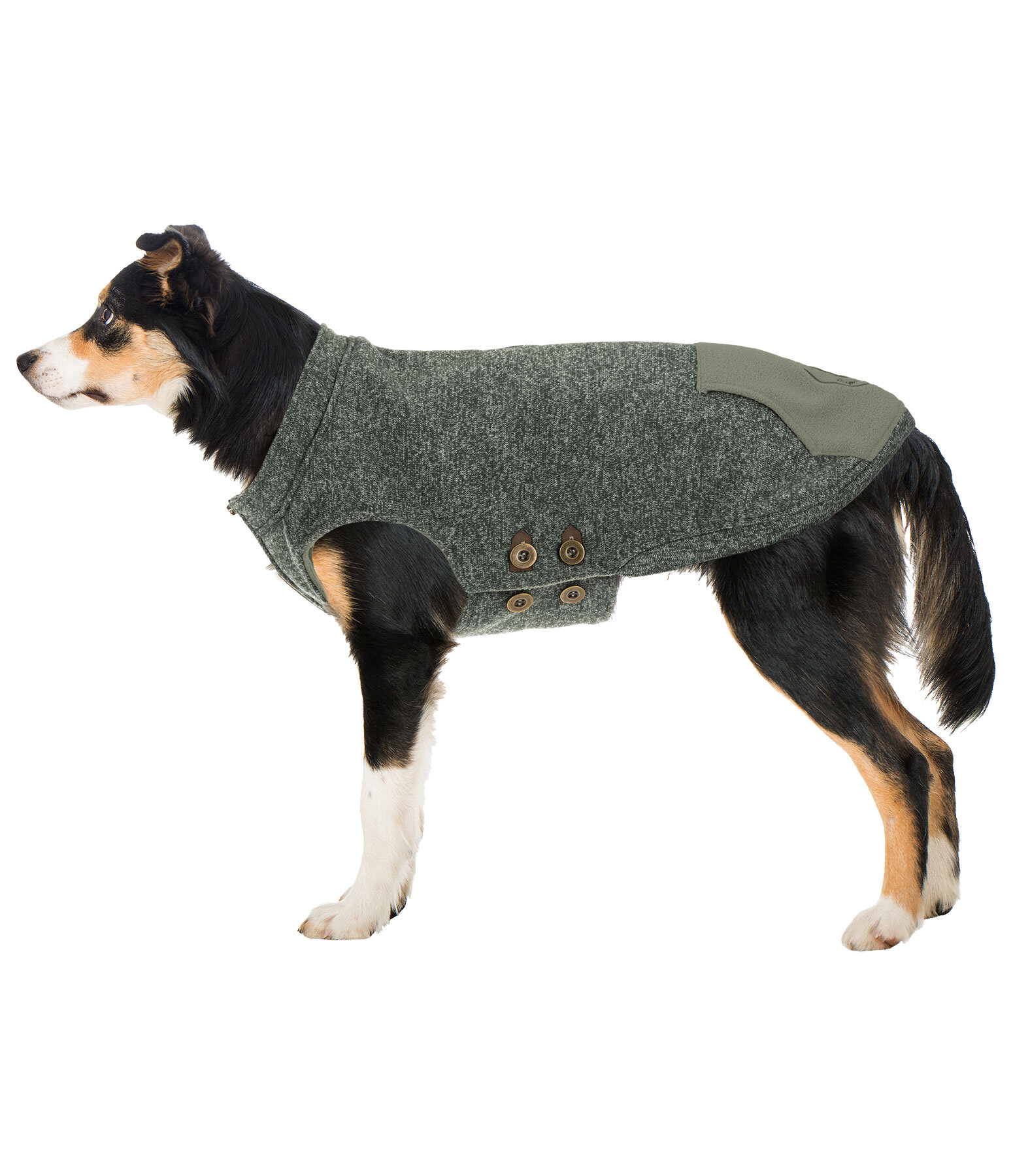 Hunde-Pullover Seb