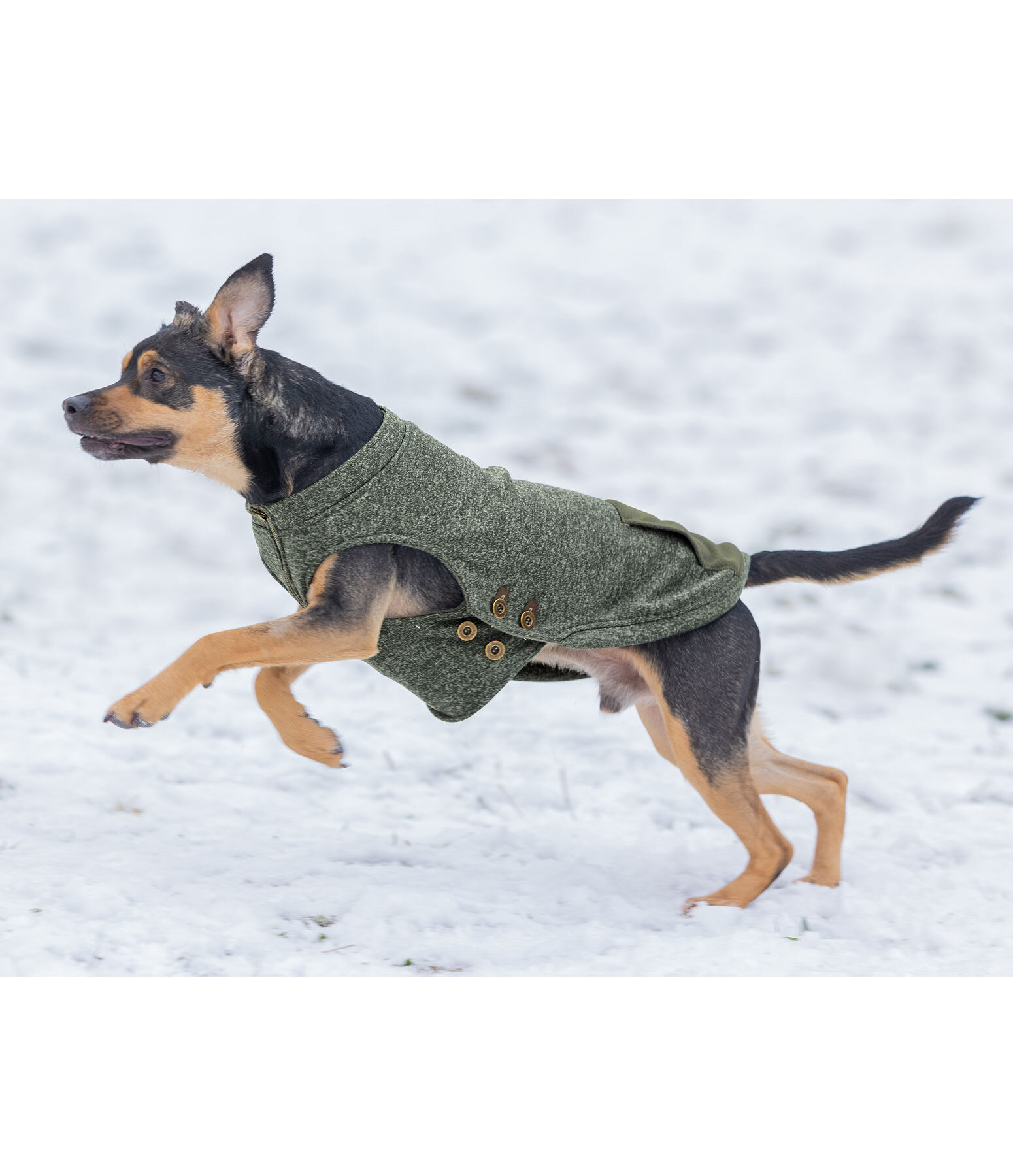 Hunde-Pullover Seb