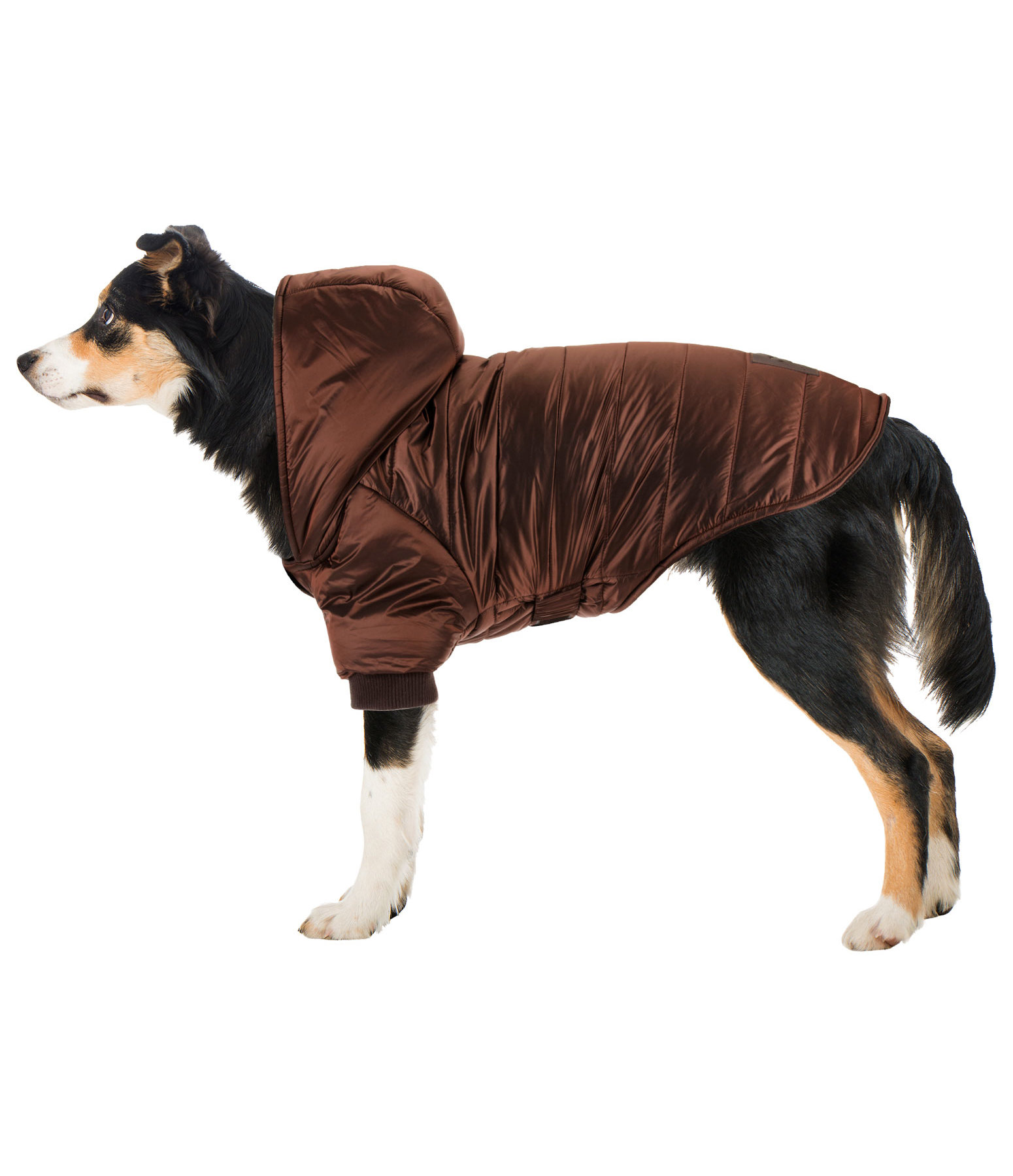 Lightweight Steppjacke Scottie, 200 g