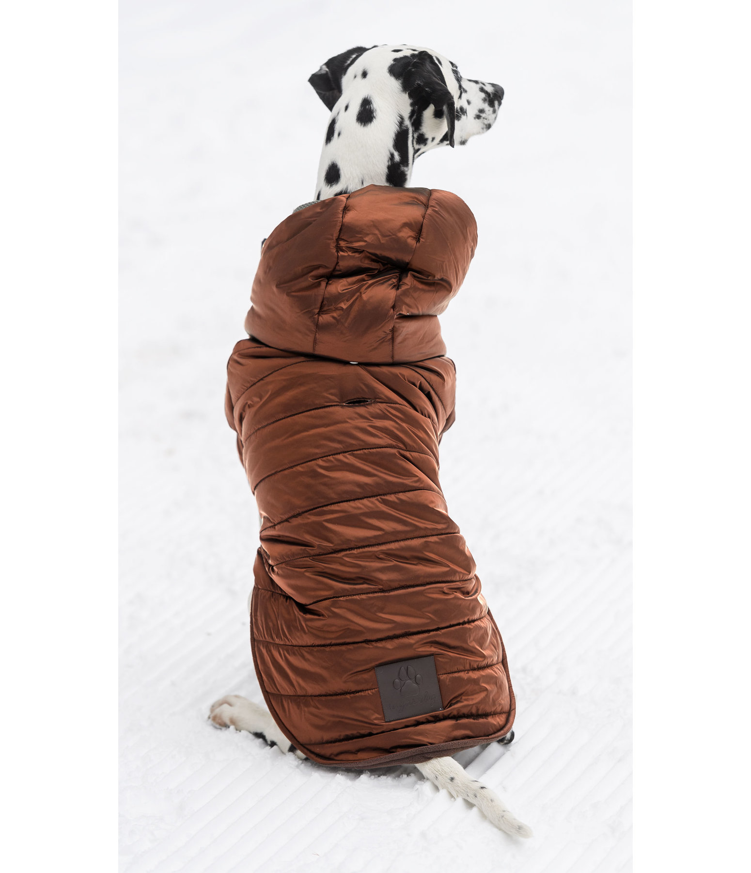 Lightweight Steppjacke Scottie, 200 g