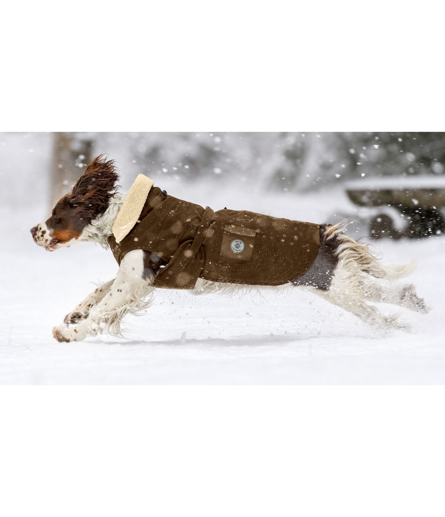 Oilskin Hunde-Regenmantel Yosemite