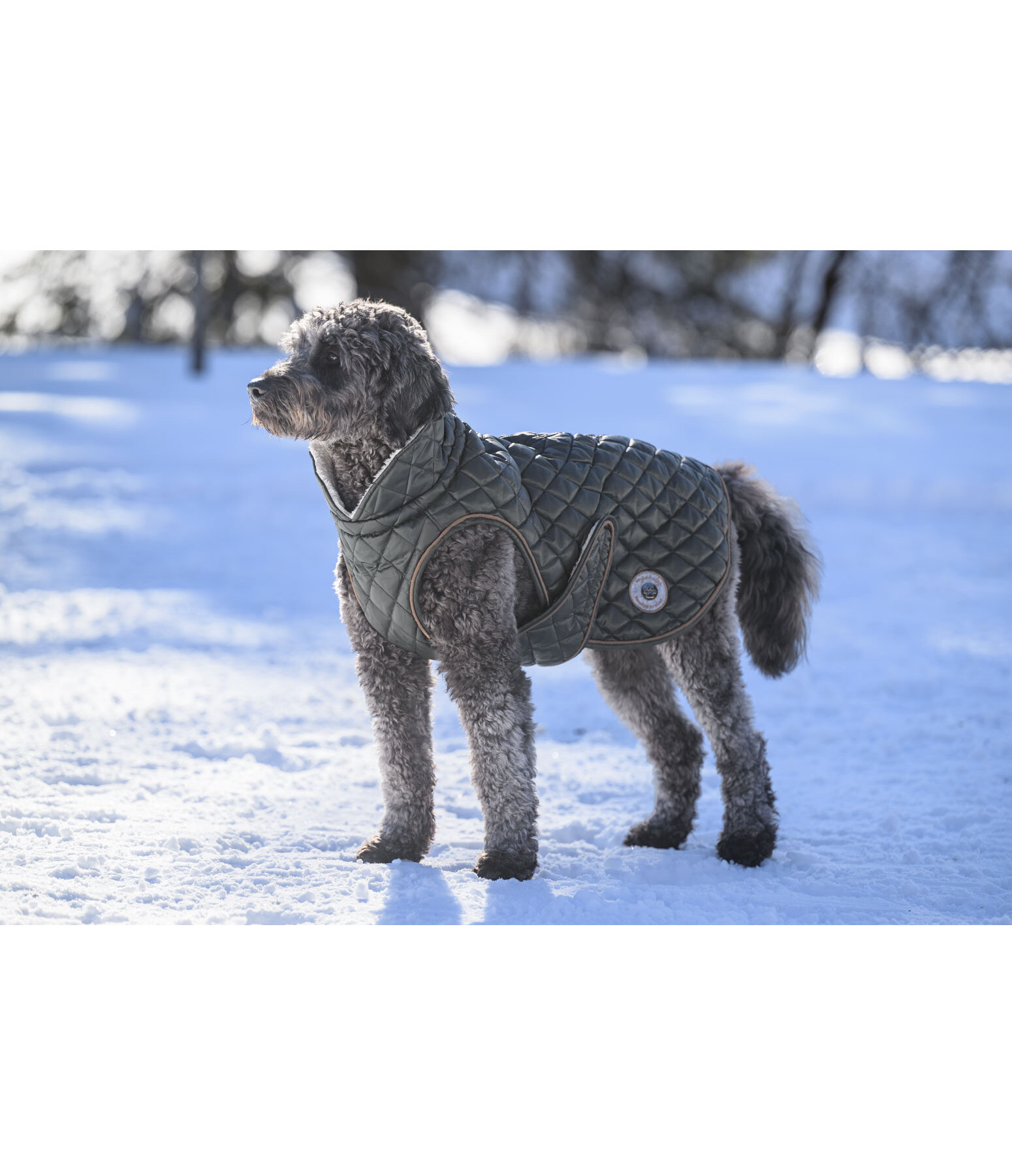 Hundemantel Archie mit Teddyfleece-Innenfutter, 160 g