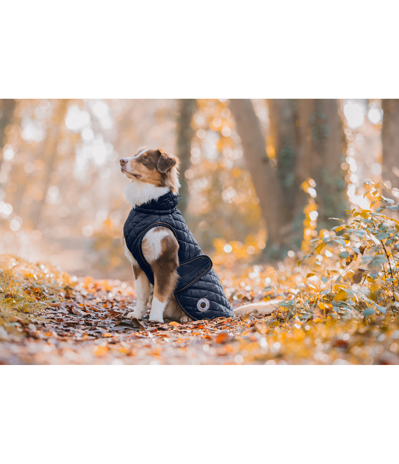 Hundemantel Archie mit Teddyfleece-Innenfutter, 160 g