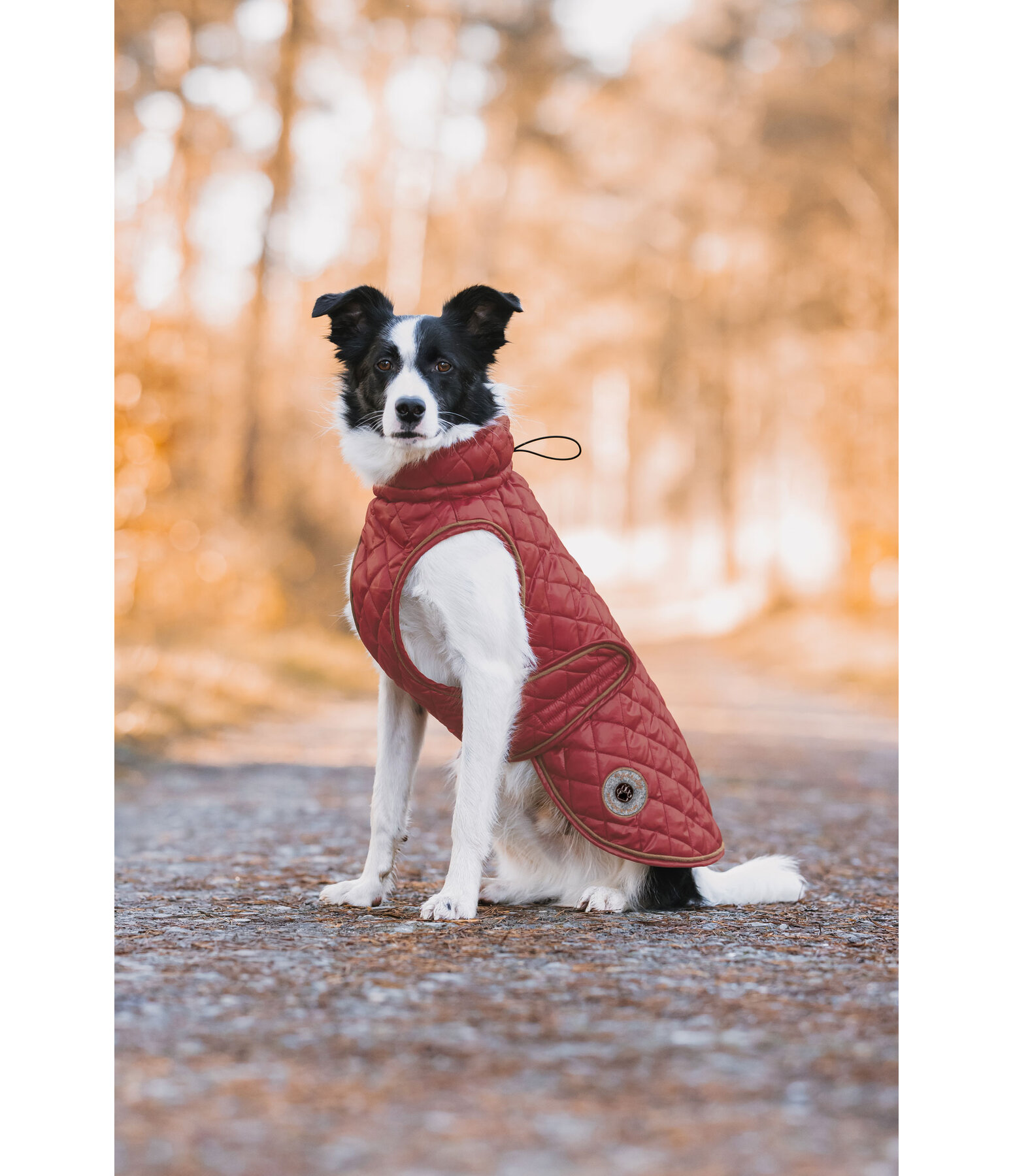 Hundemantel Archie mit Teddyfleece-Innenfutter, 160 g