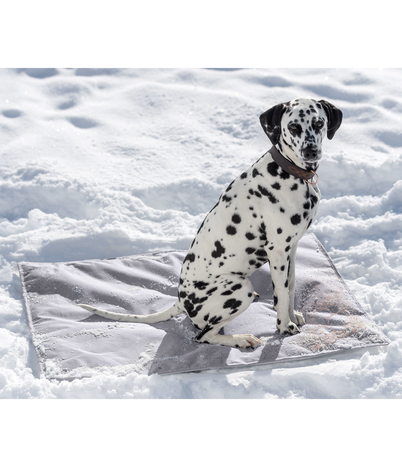 Outdoor-Liegedecke mit Thermo-Unterseite Stardust