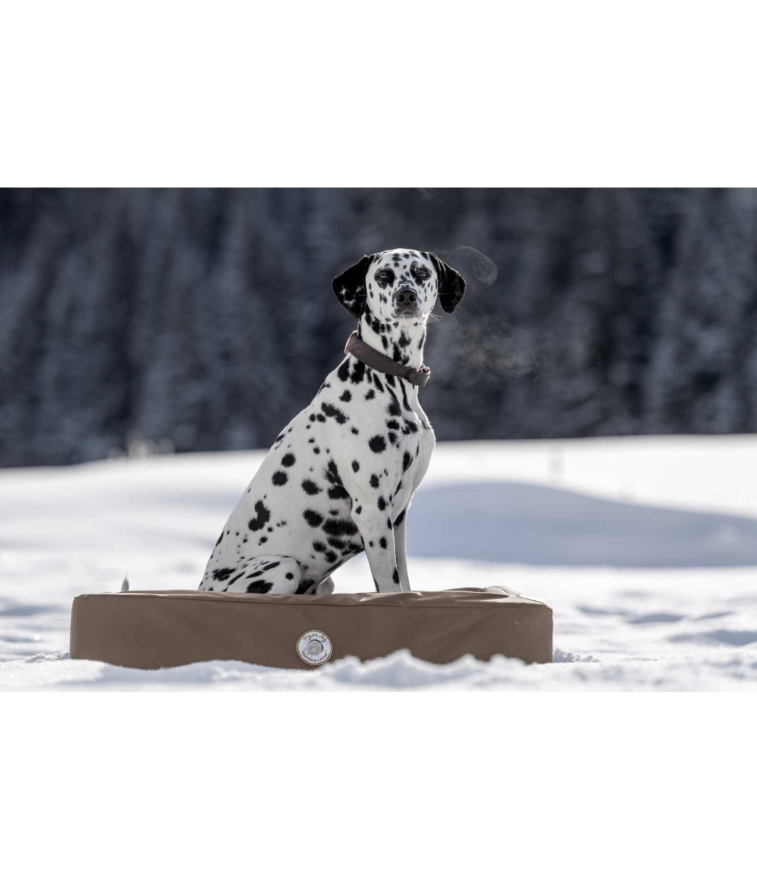 Kunstleder-Hundebett Volterra