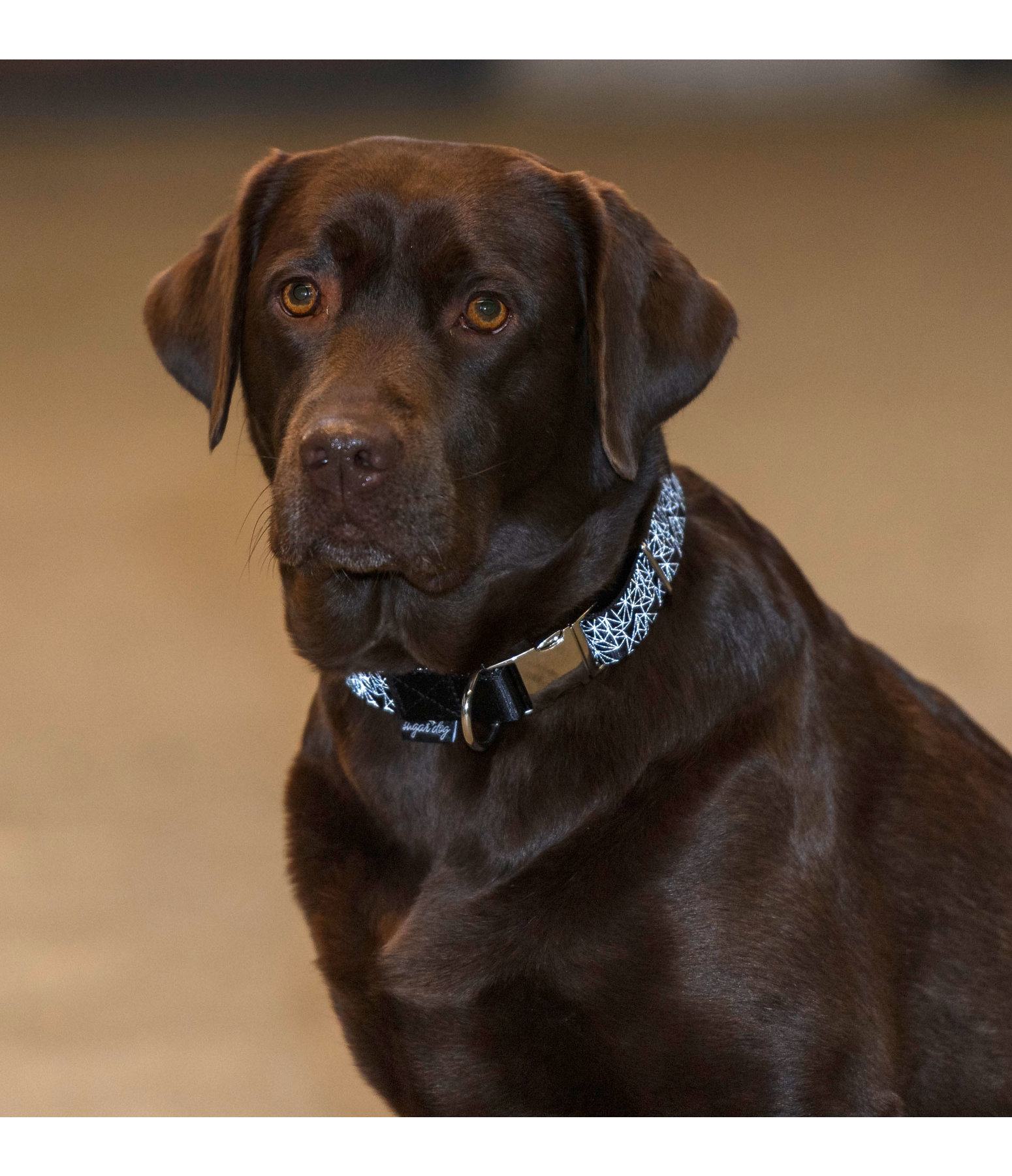 reflektierendes Halsband Vallie