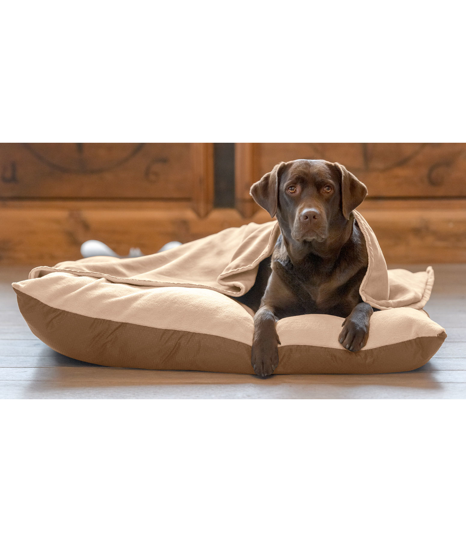 Hundekissen Wisper mit Zudecke