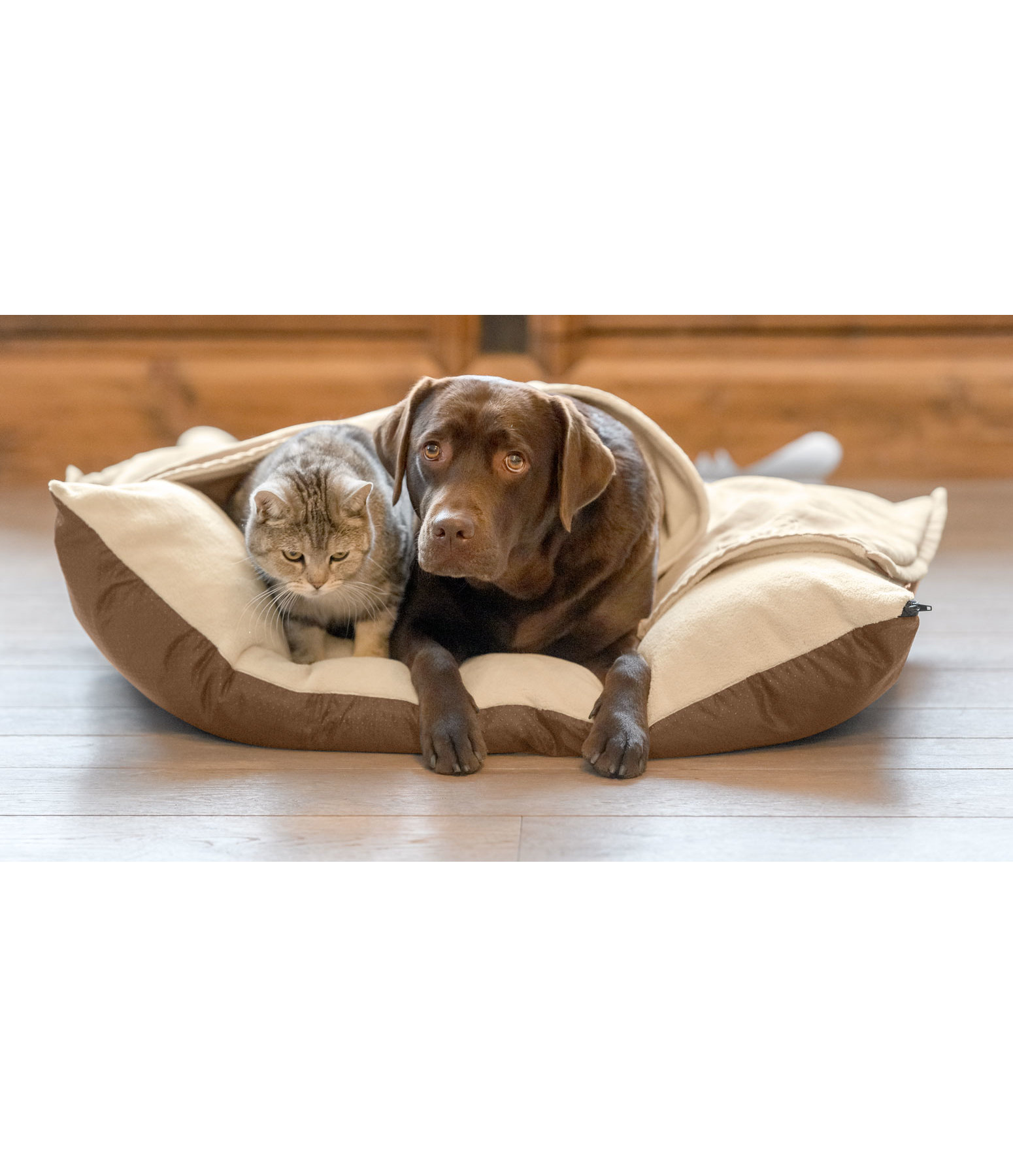 Hundekissen Wisper mit Zudecke